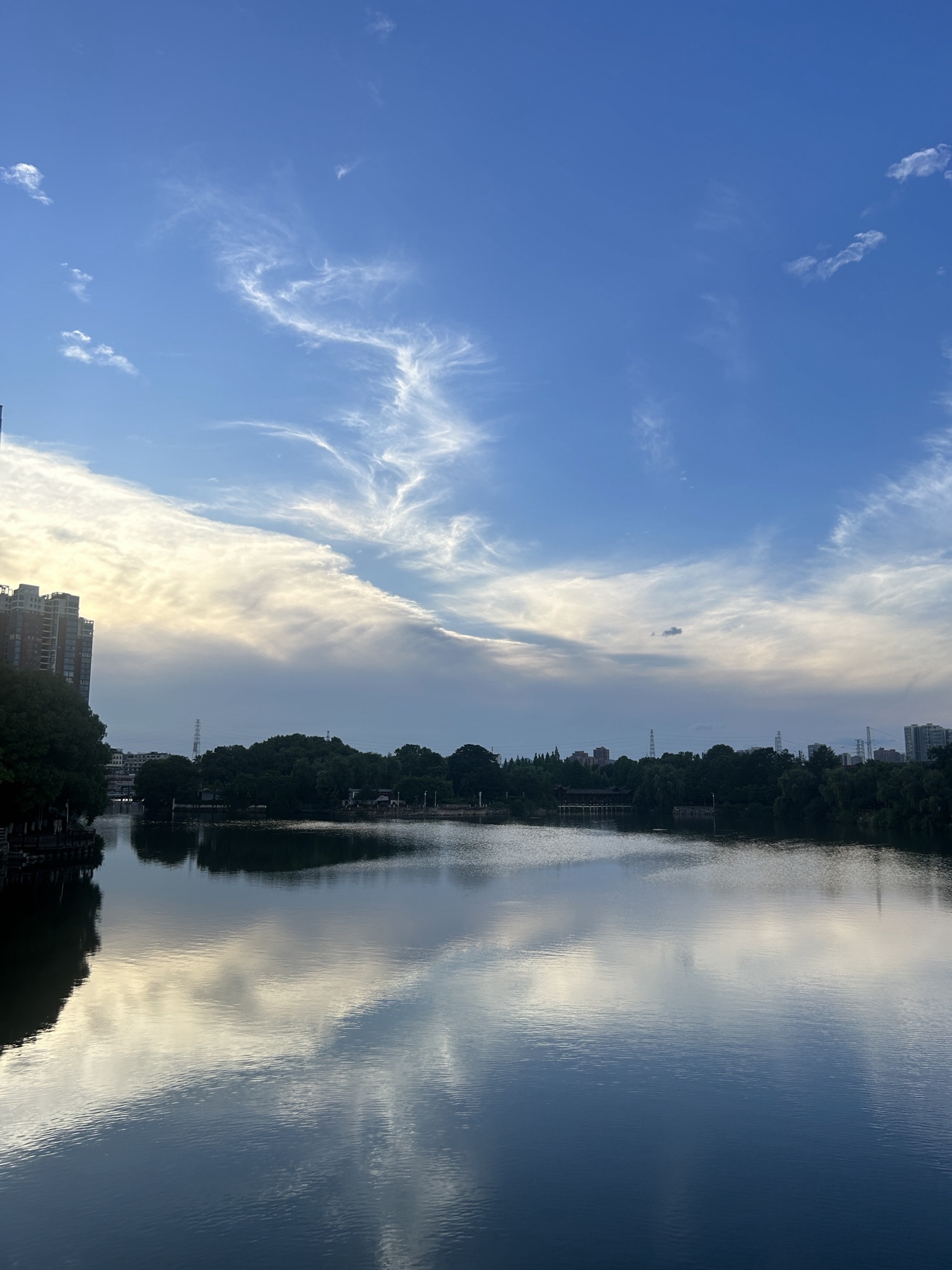 天鹅湖公园旅行图片 2