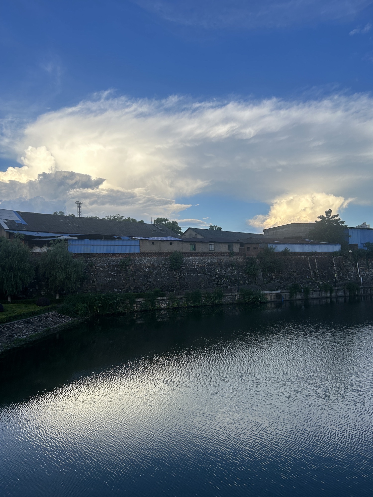 天鹅湖公园旅行图片 3