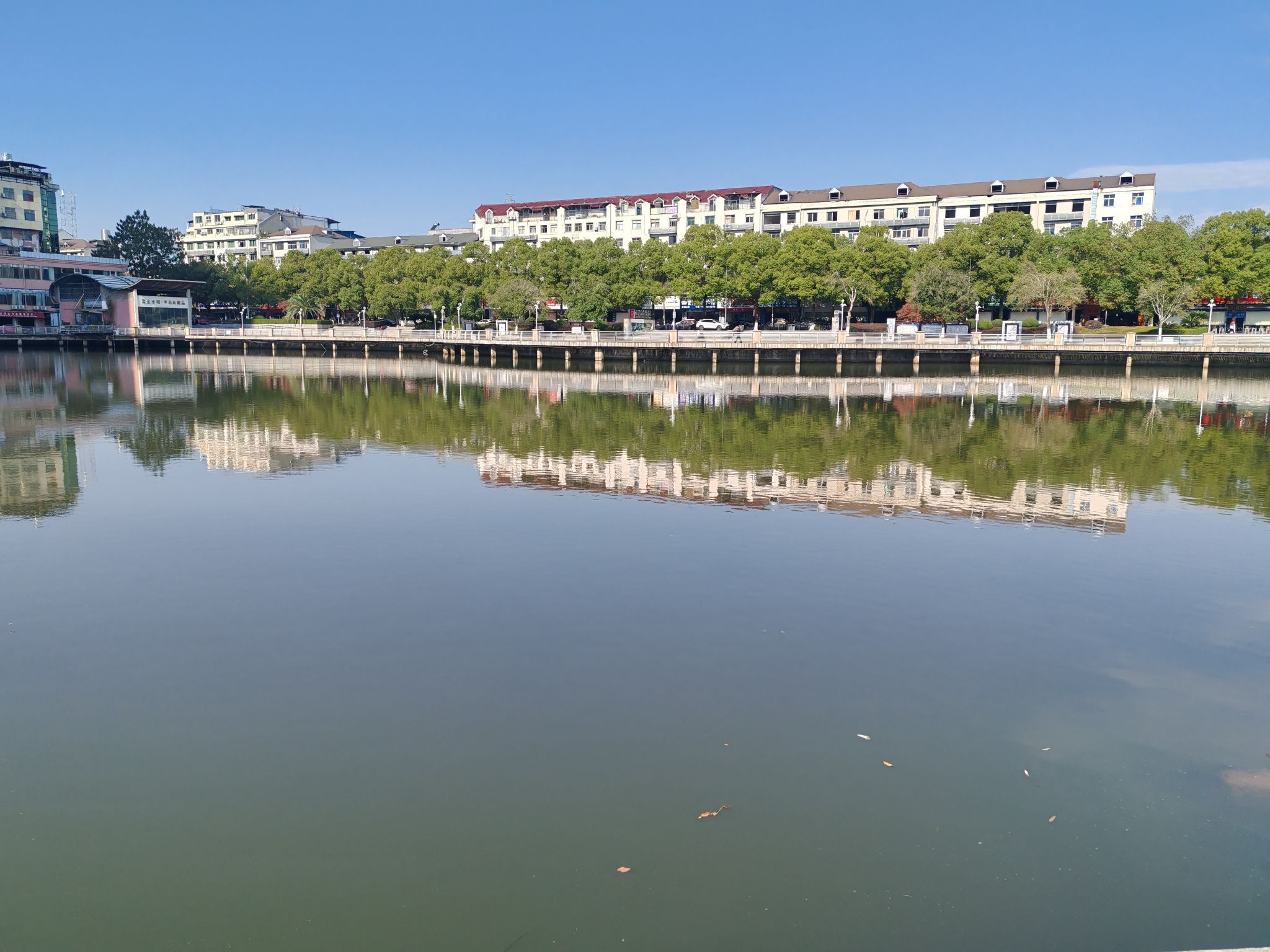 天鹅湖公园旅行图片 3