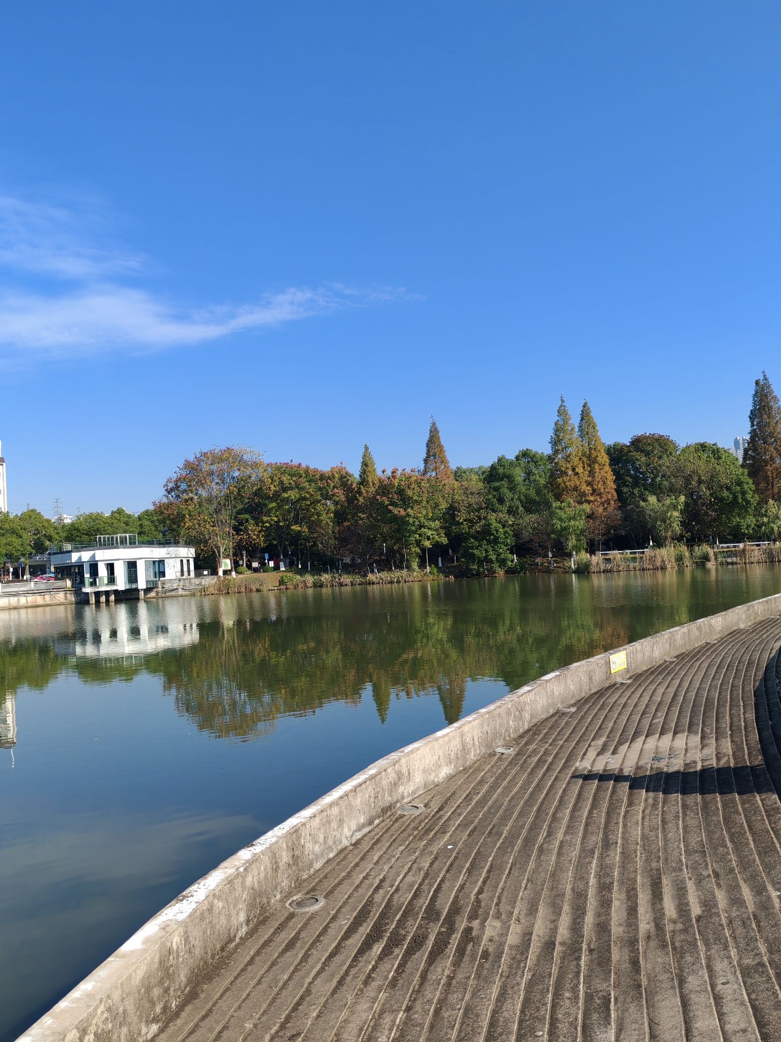 天鹅湖公园旅行图片 2