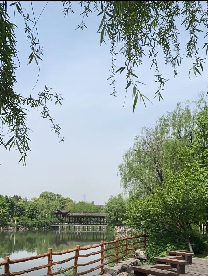 天鹅湖公园旅行图片