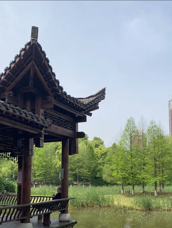 天鹅湖公园旅行图片 3
