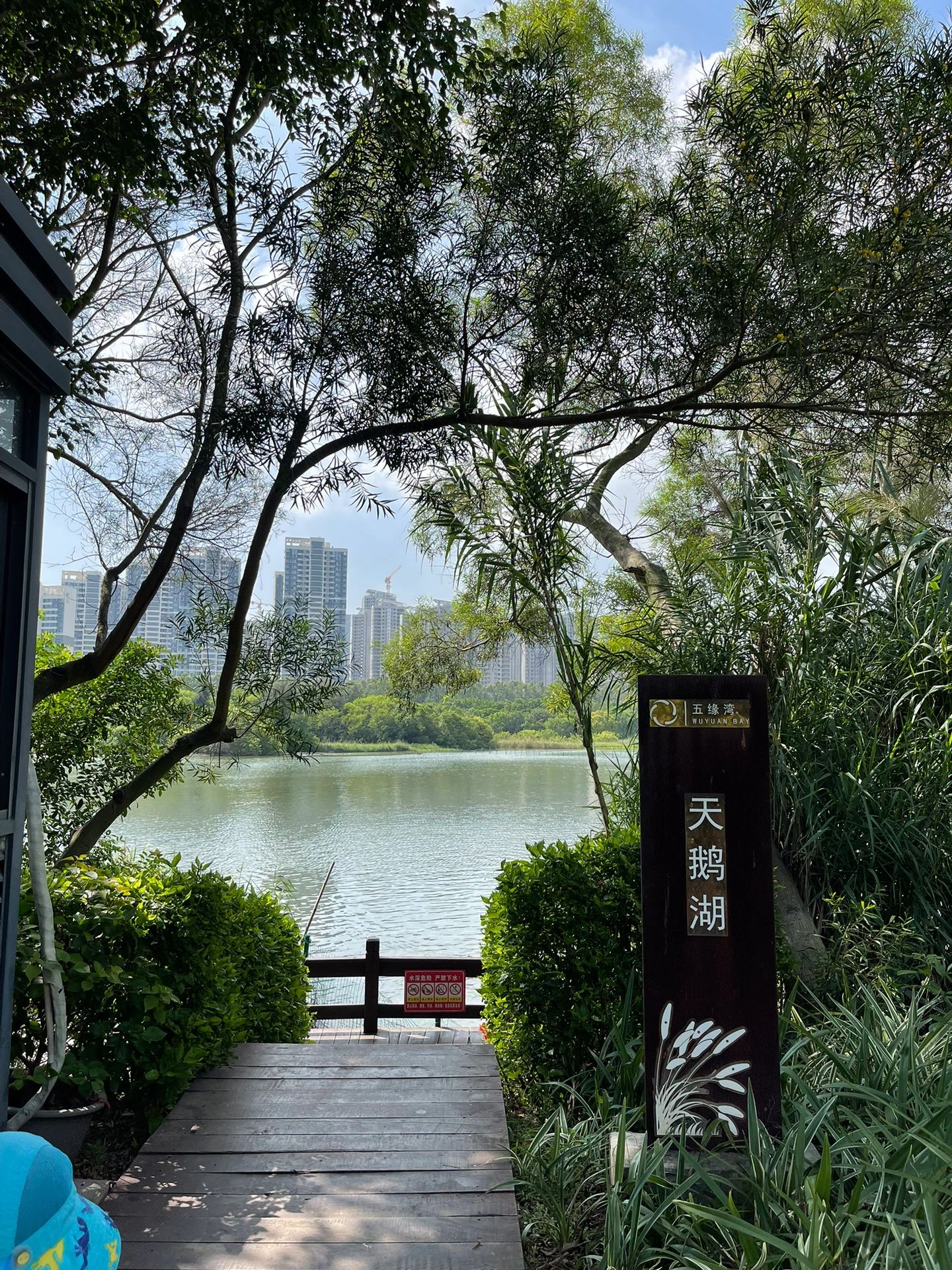 天鹅湖公园旅行图片 3
