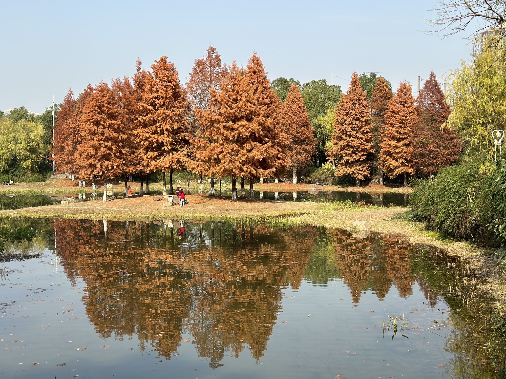 天鹅湖公园旅行图片