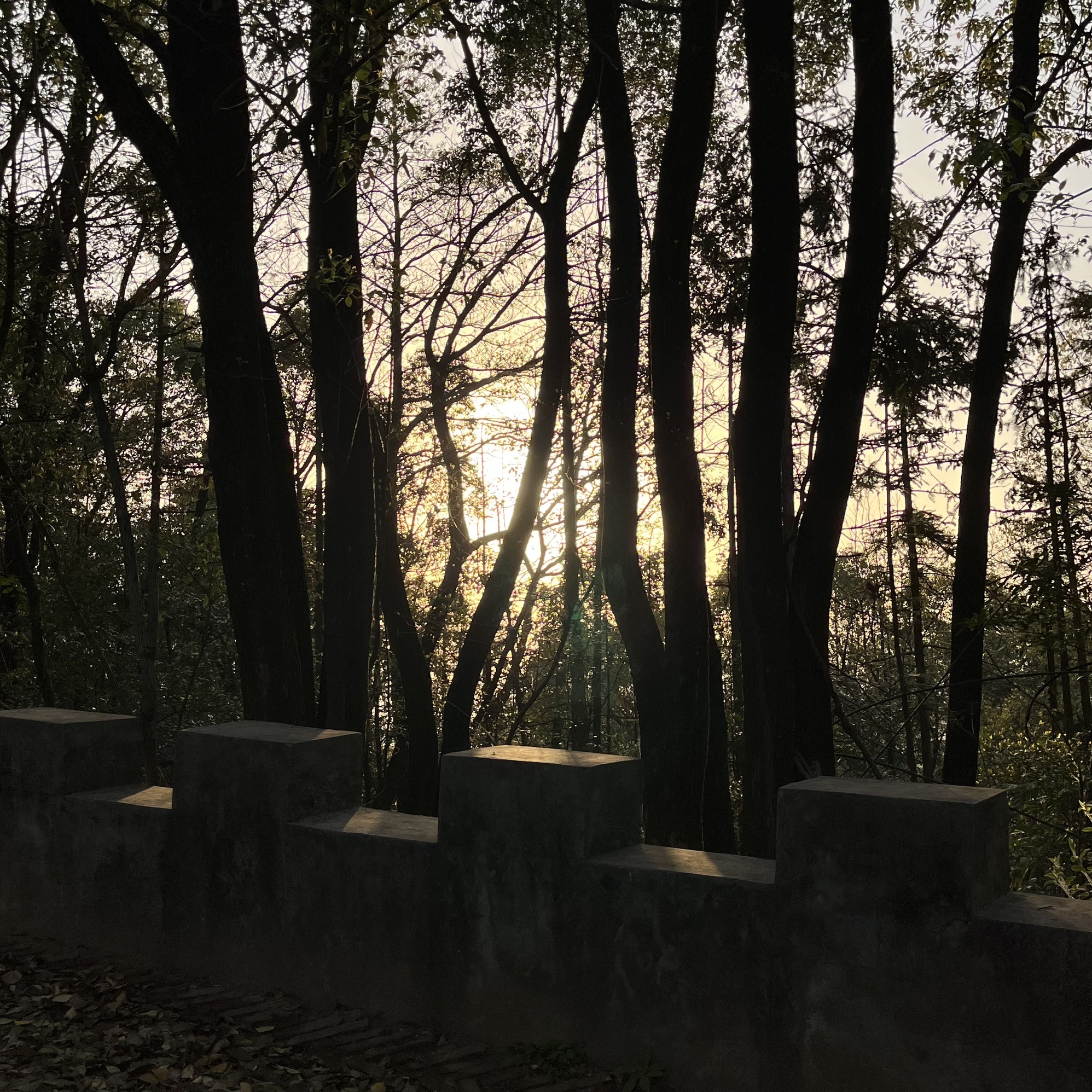 凤凰山公园旅行图片 1