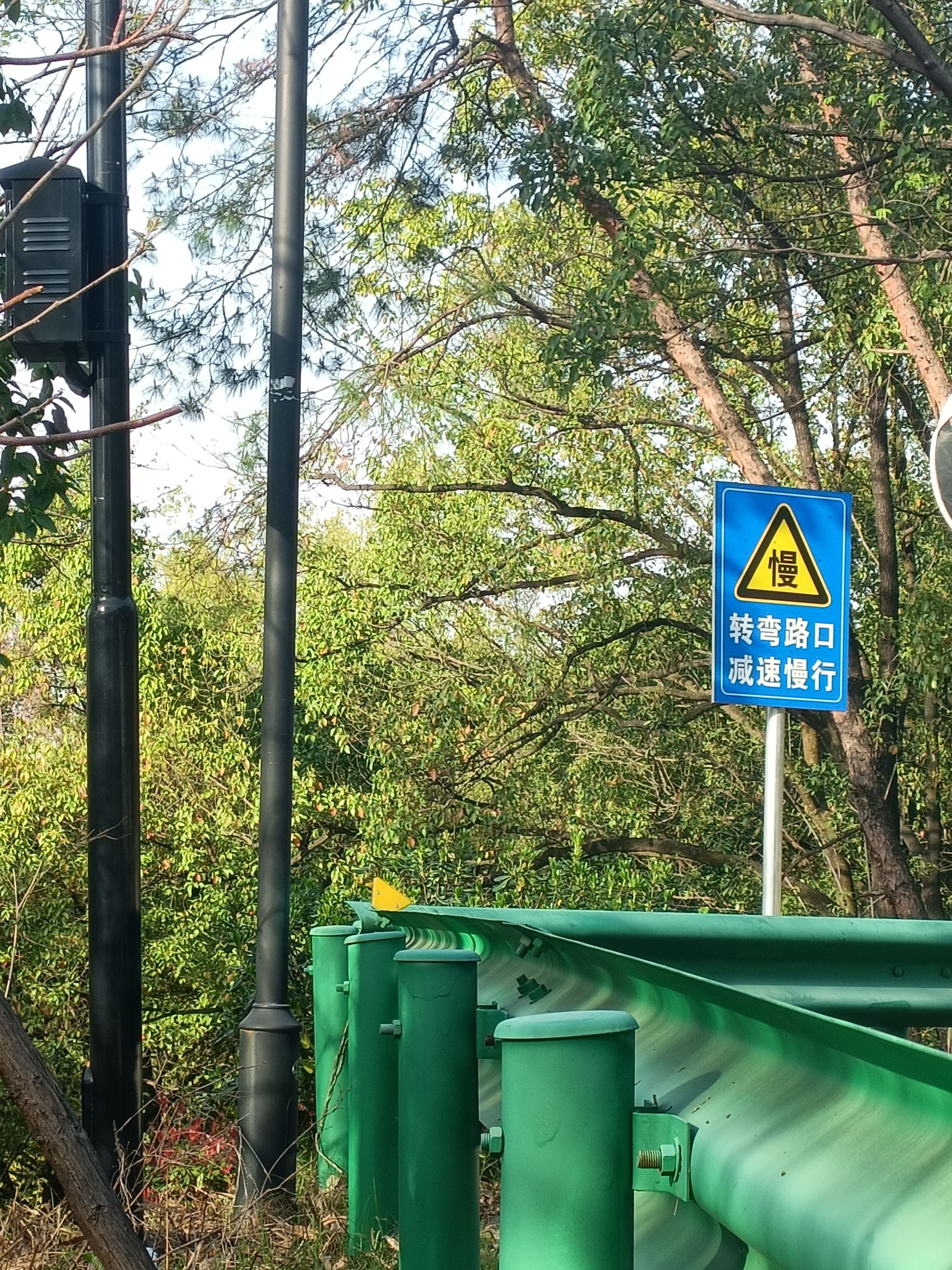 凤凰山公园旅行图片 1