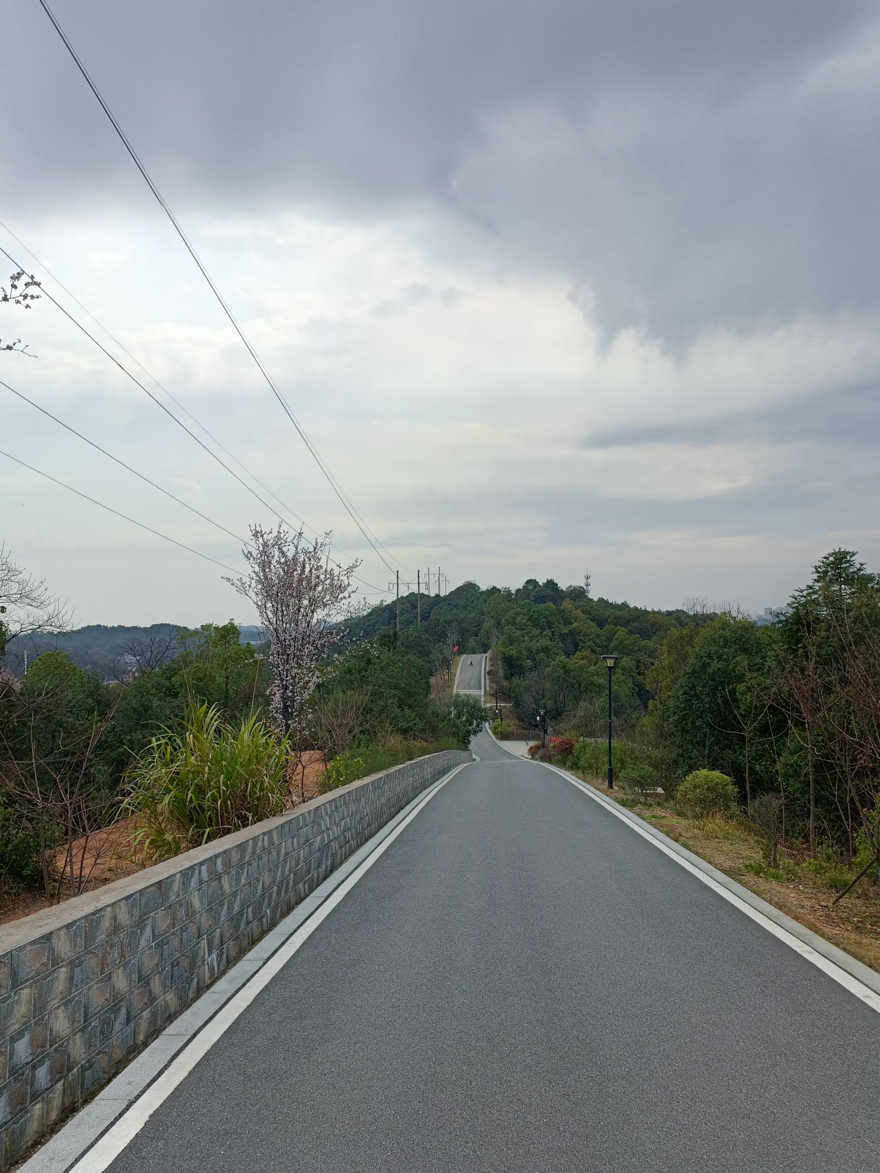 凤凰山公园旅行图片 3