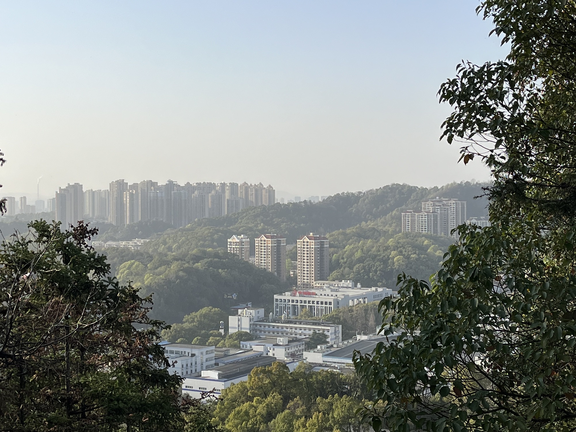 凤凰山公园旅行图片 2