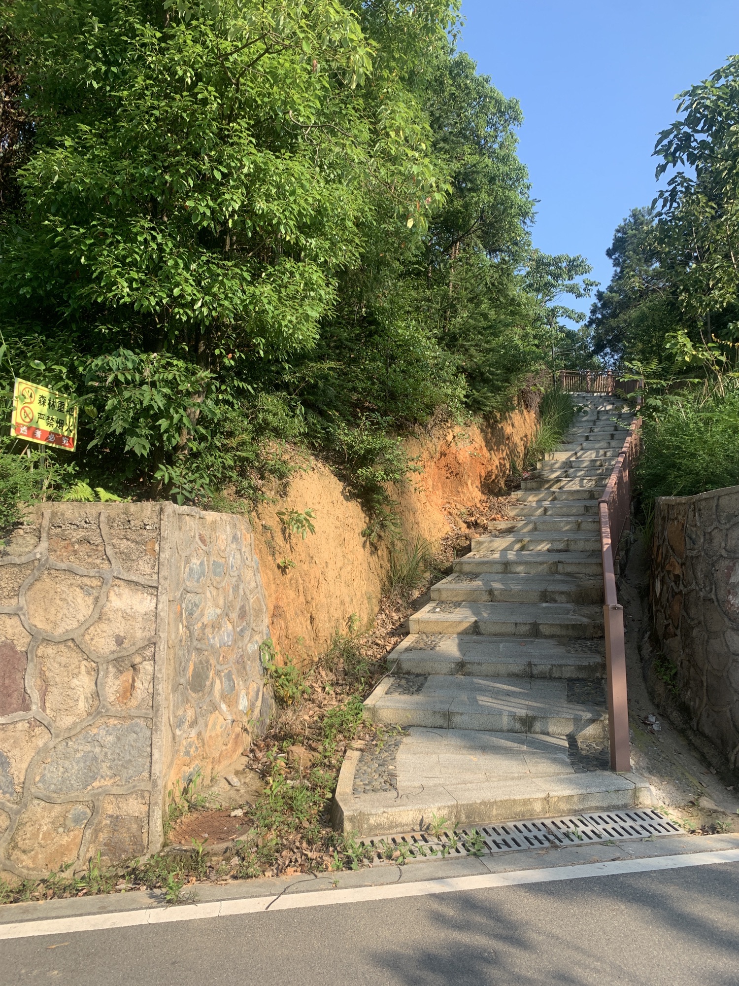 凤凰山公园旅行图片 3