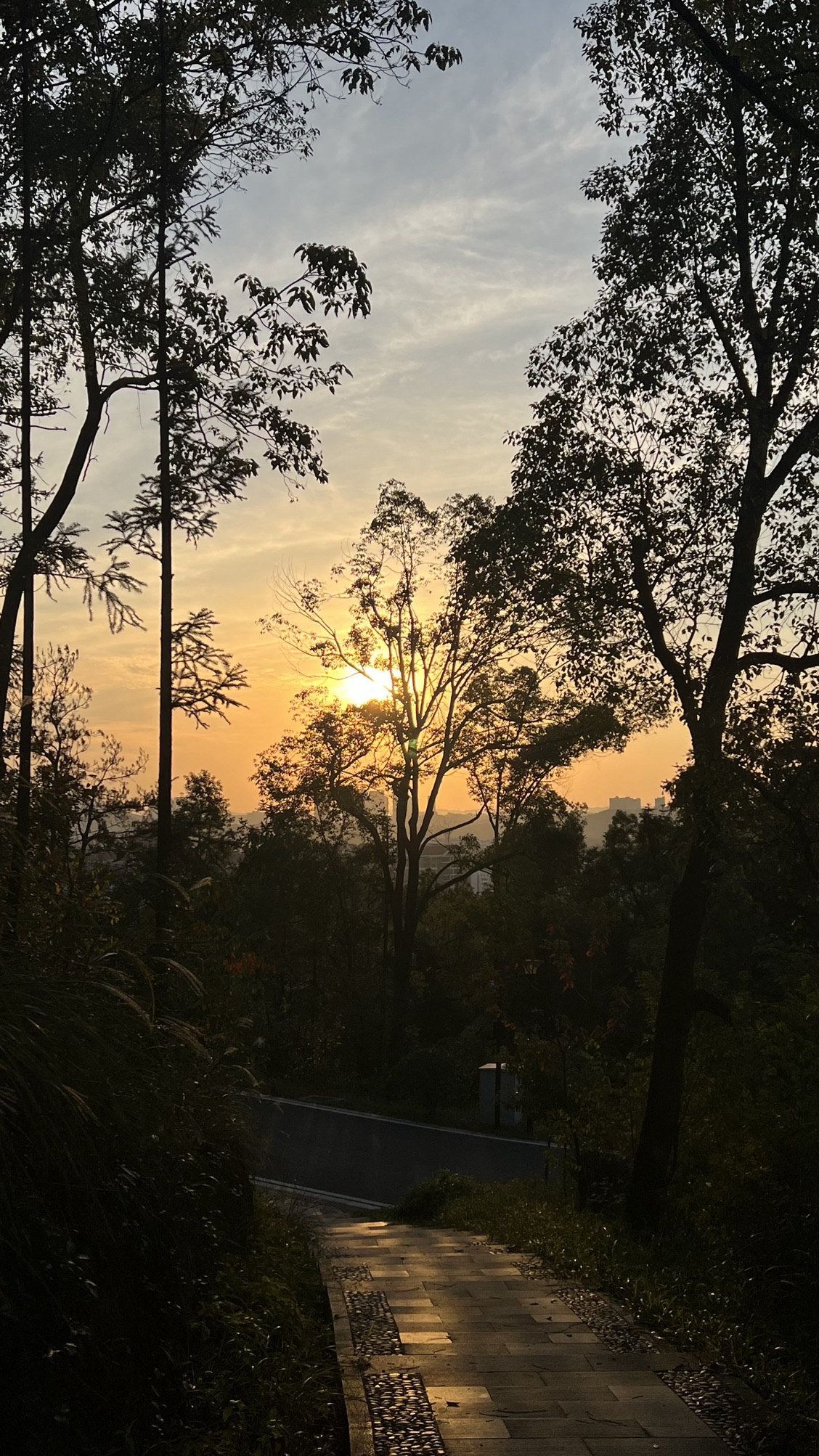 凤凰山公园旅行图片 3