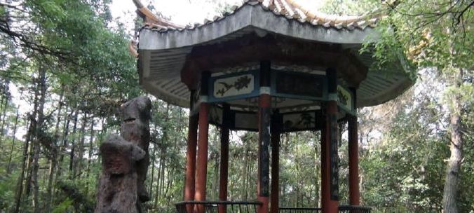 凤凰山公园旅行图片 1