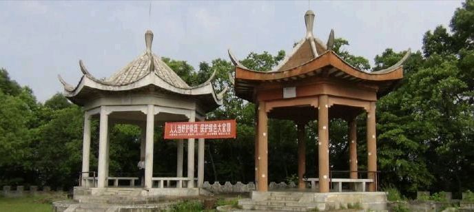 凤凰山公园旅行图片 2
