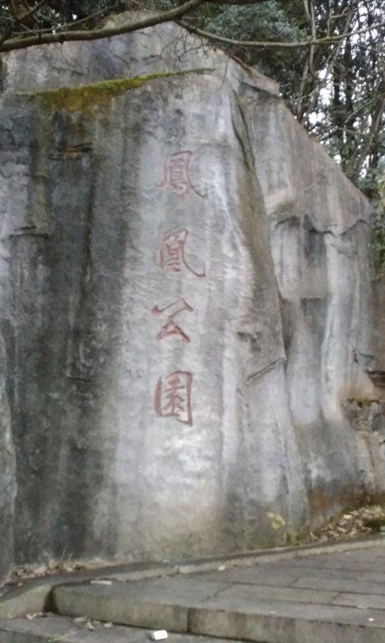 凤凰山公园旅行图片 3