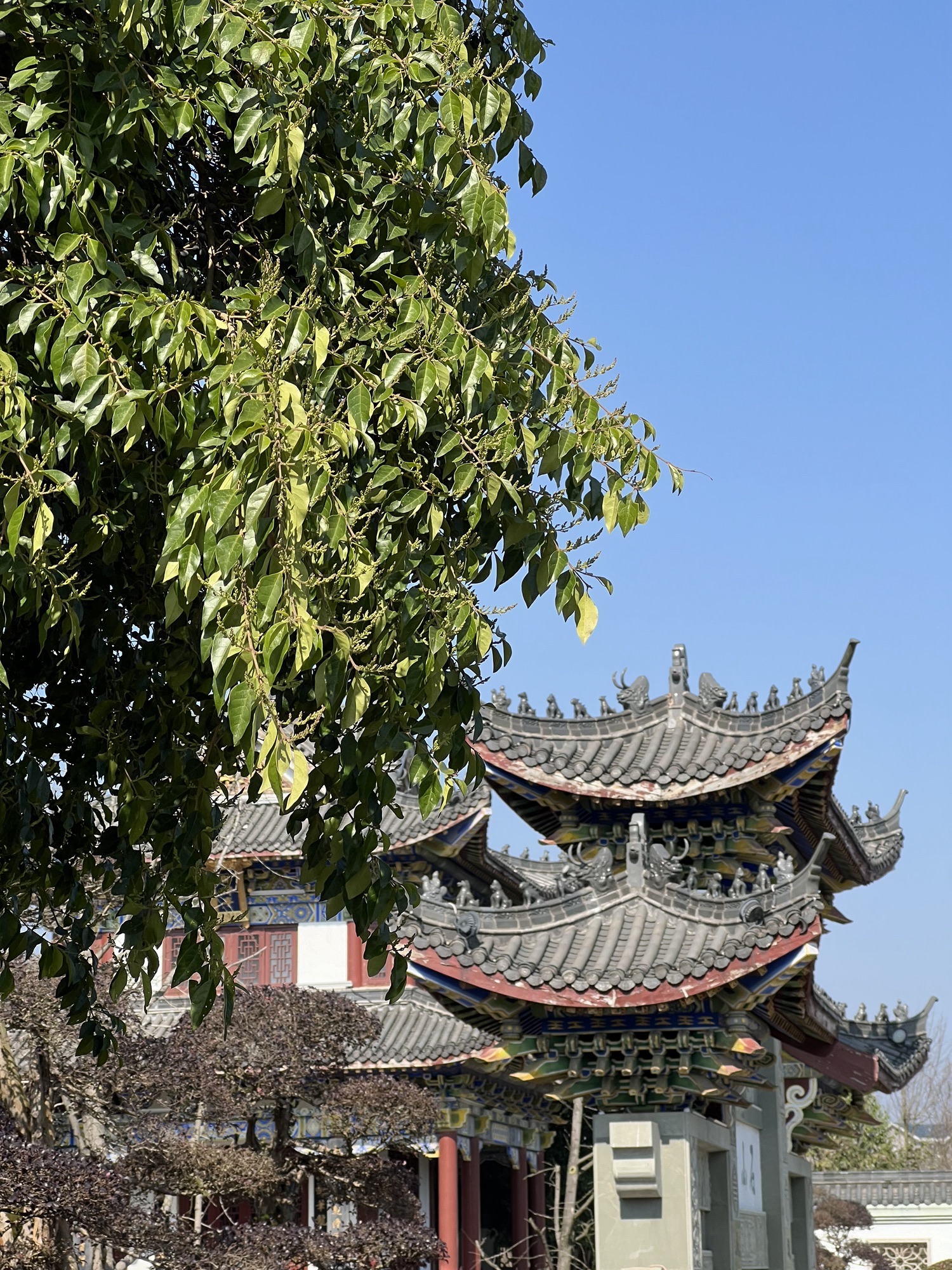 攸州公园旅行图片 2