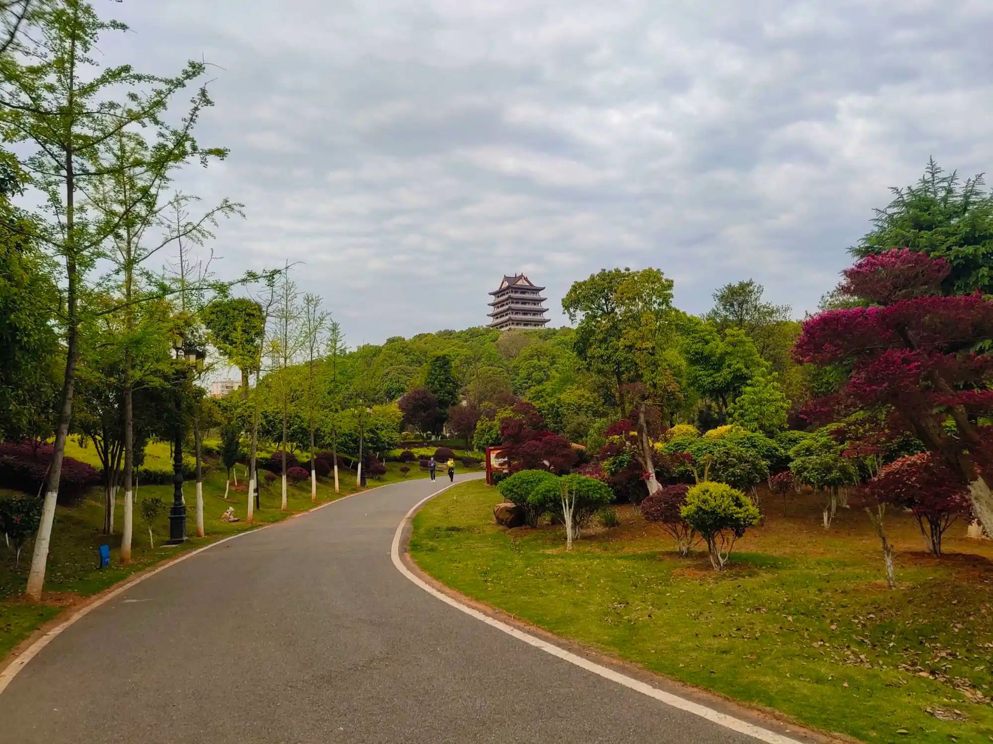 攸州公园旅行图片 1
