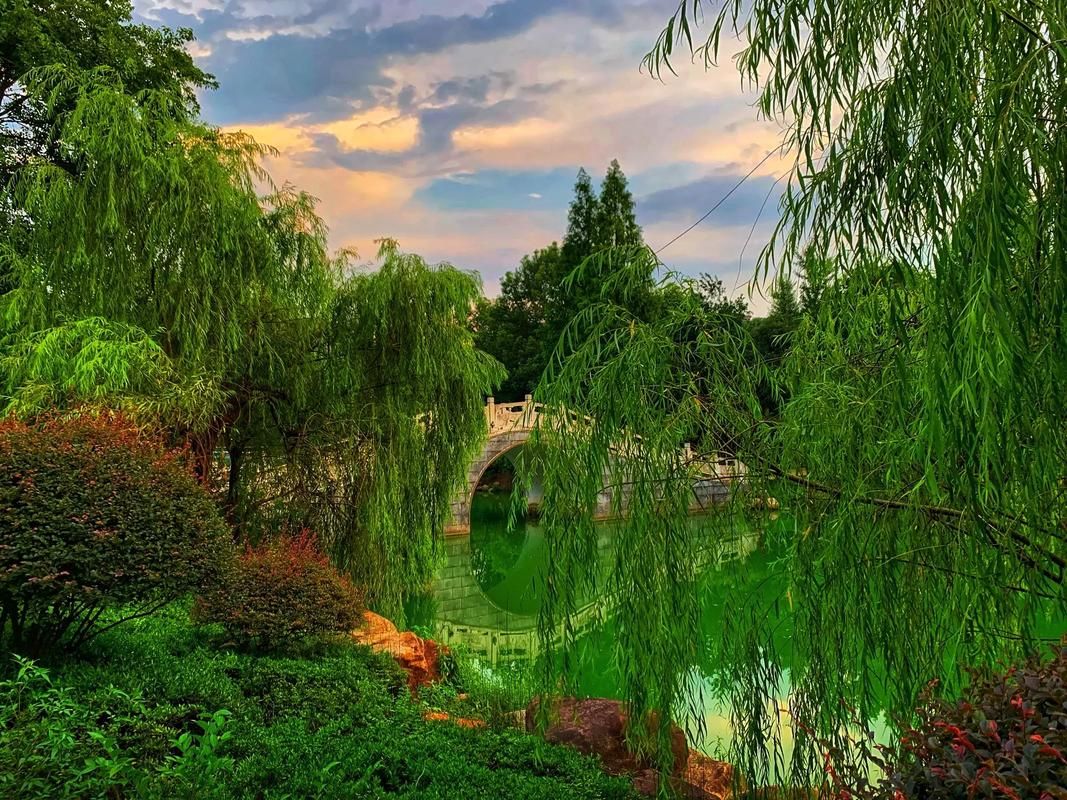 攸州公园旅行图片 2