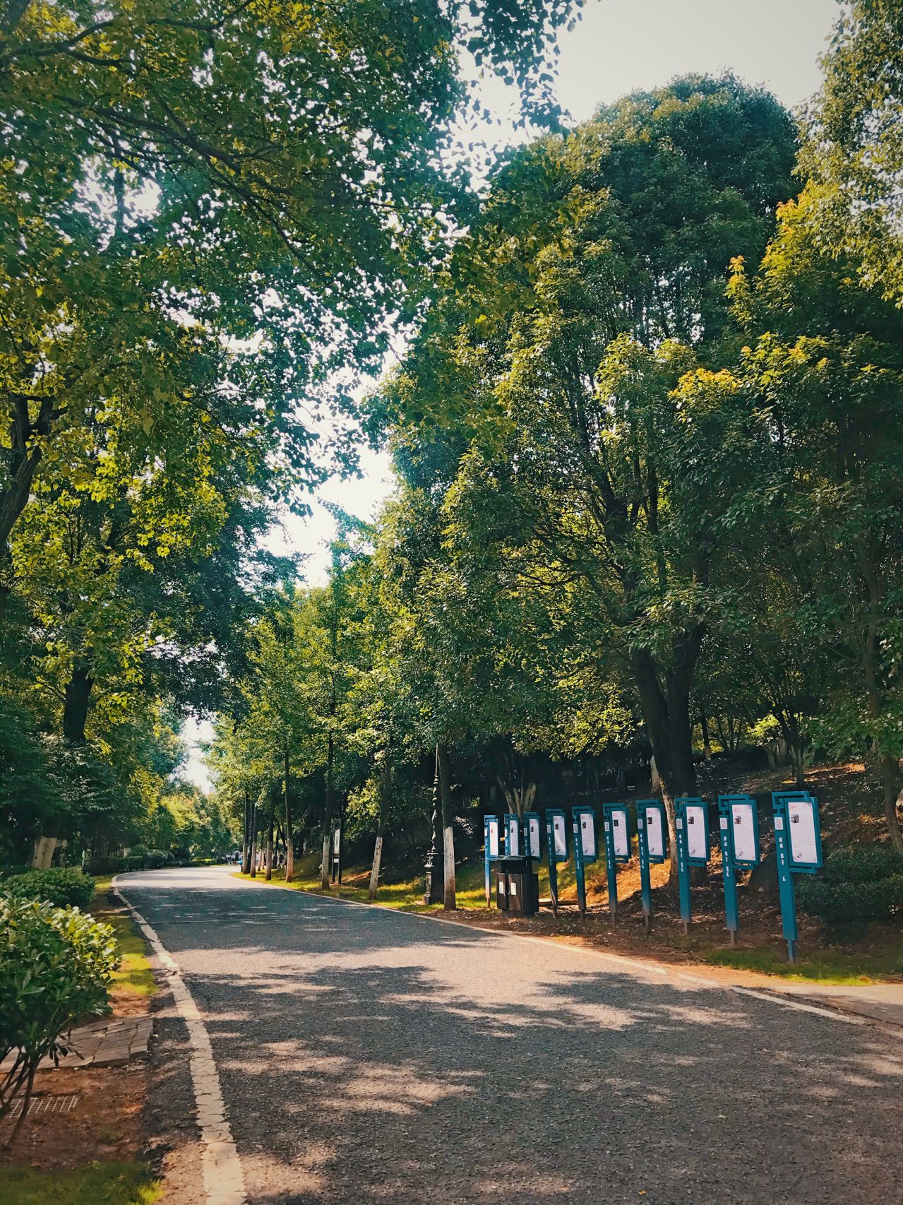 攸州公园旅行图片 2