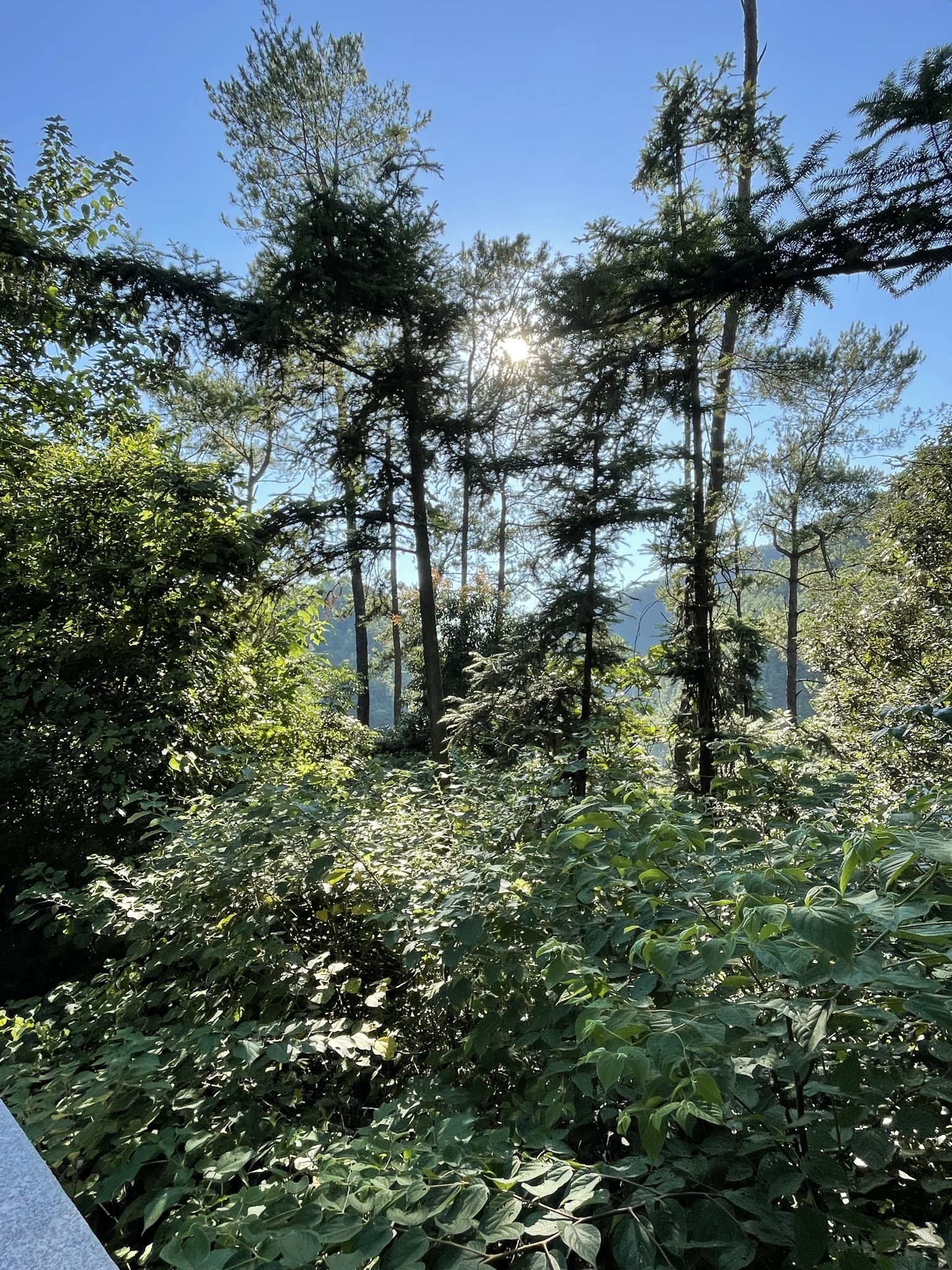 湘山公园旅行图片 3
