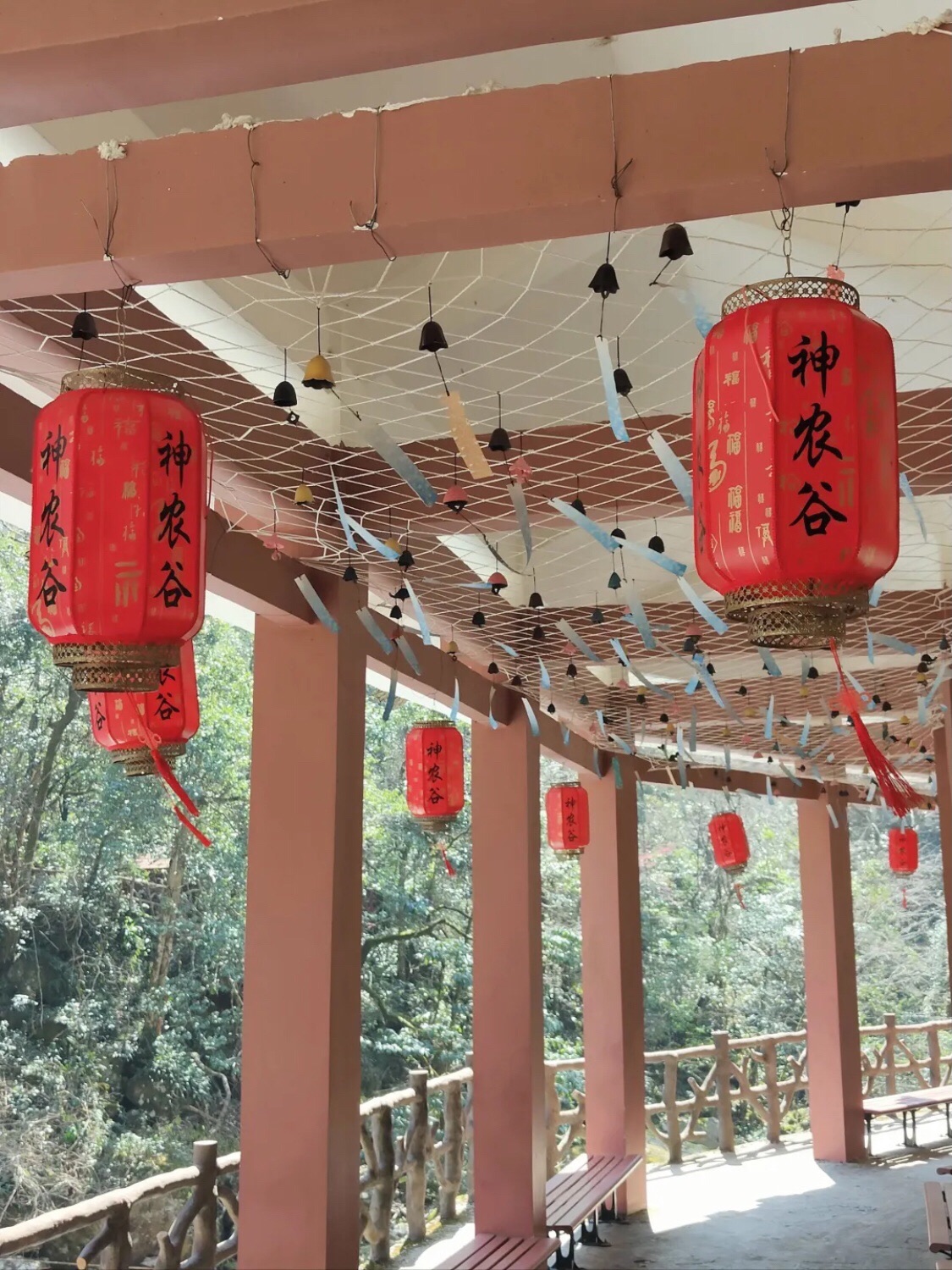 炎陵县神农谷国家森林公园旅行图片 2