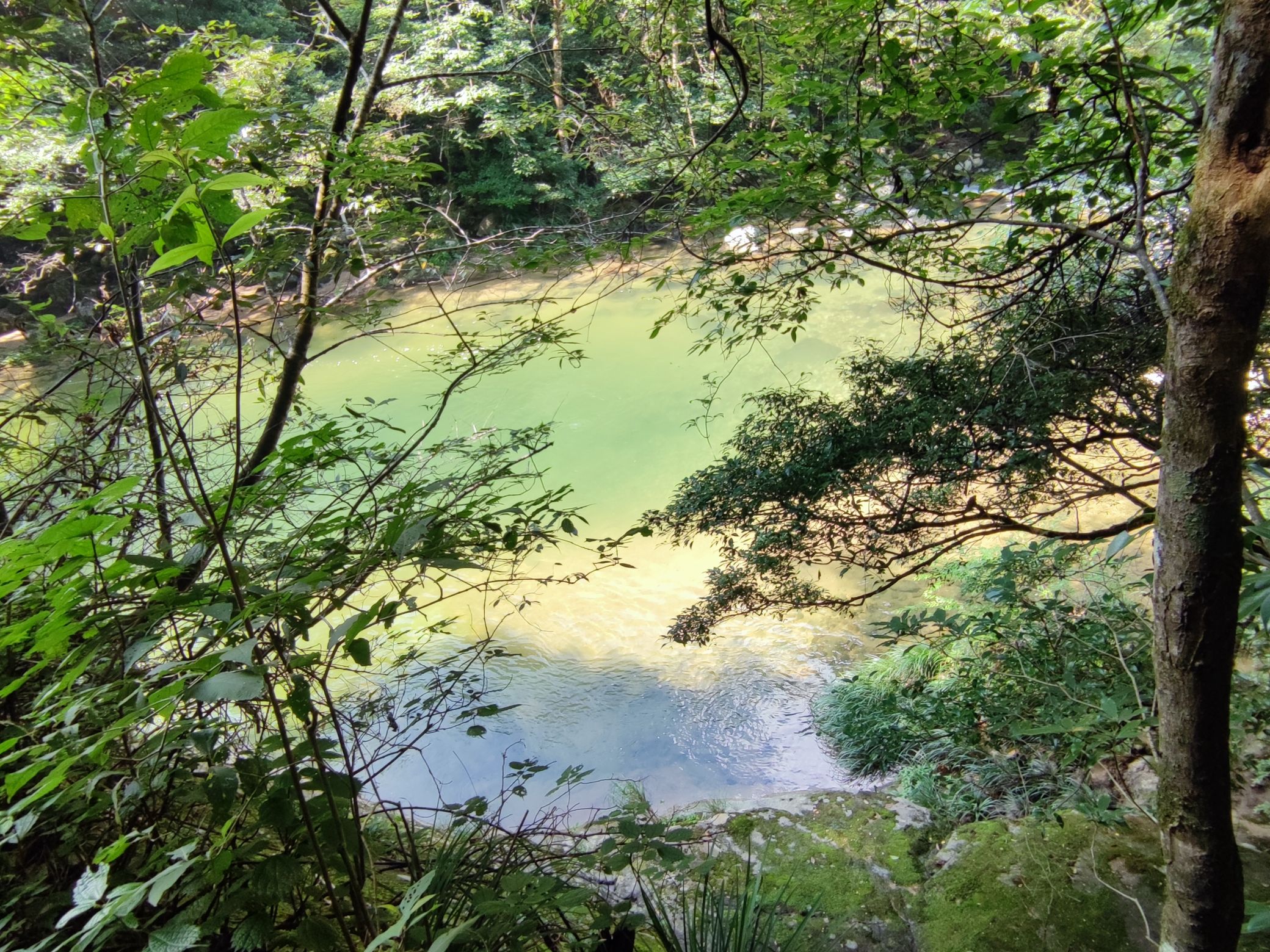 炎陵县神农谷国家森林公园旅行图片 3
