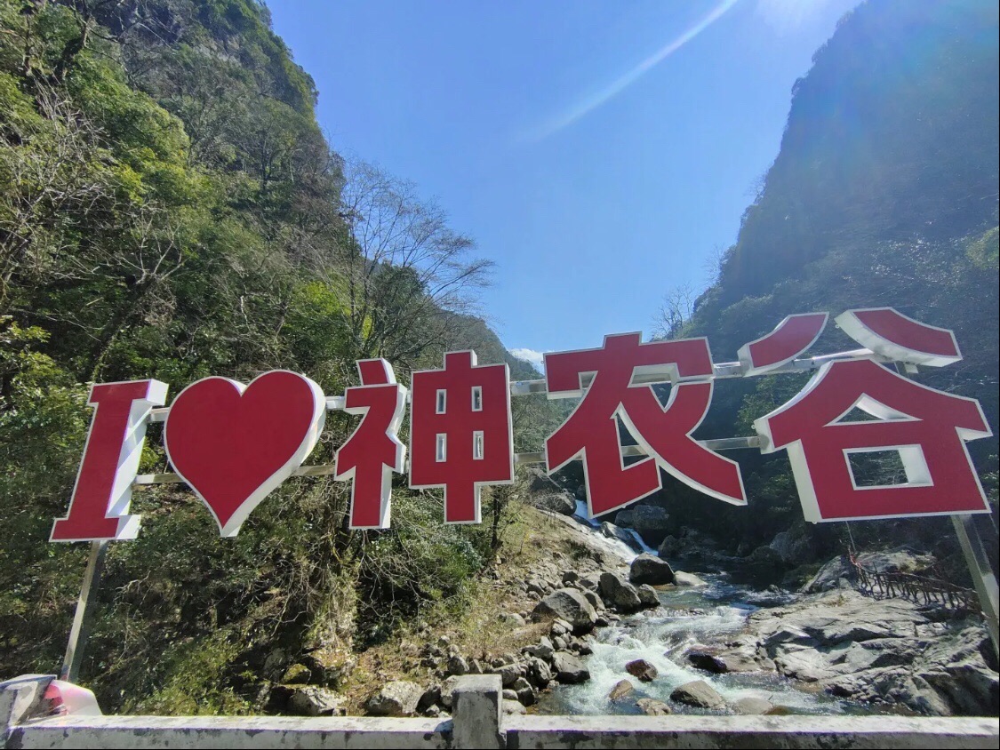 炎陵县神农谷国家森林公园旅行图片 3
