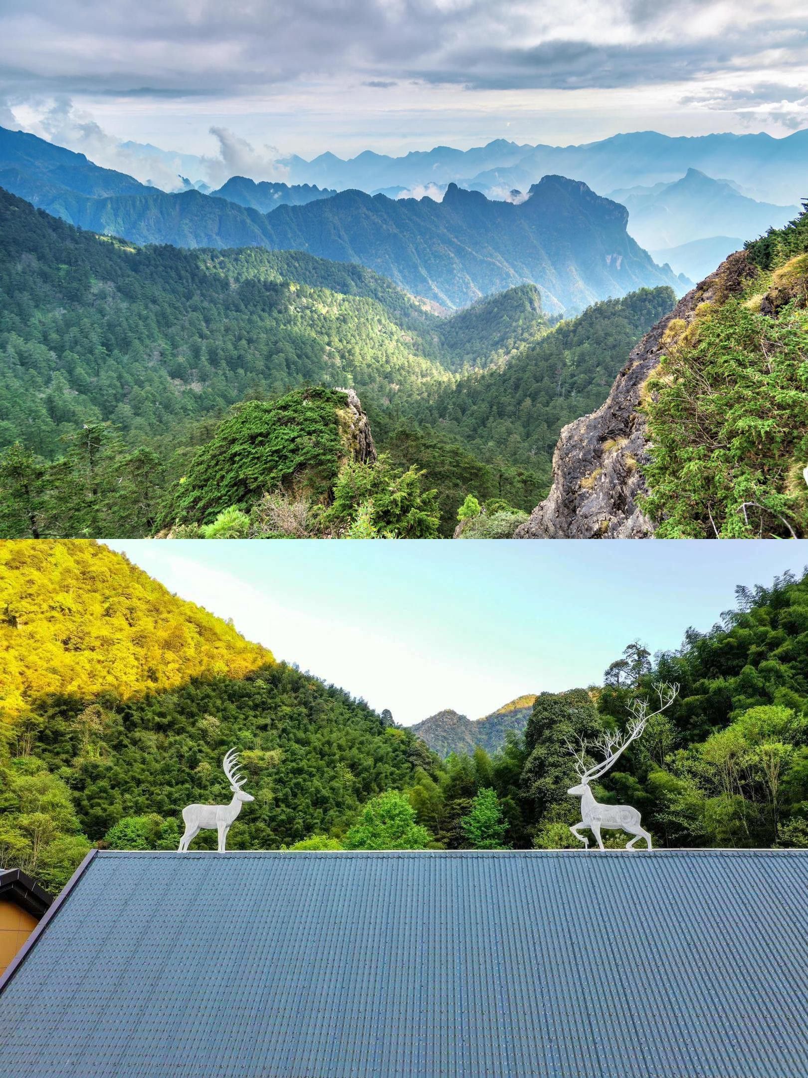 炎陵县神农谷国家森林公园旅行图片 1