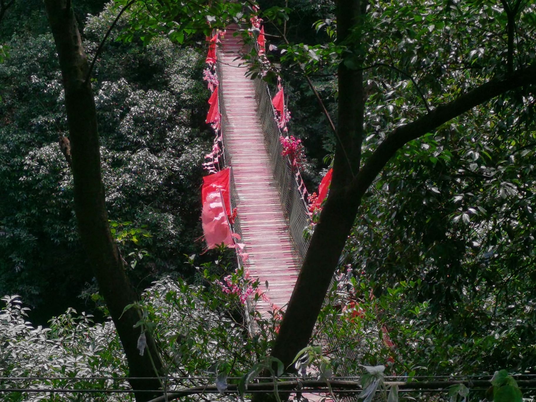 大京风景名胜区旅行图片 2