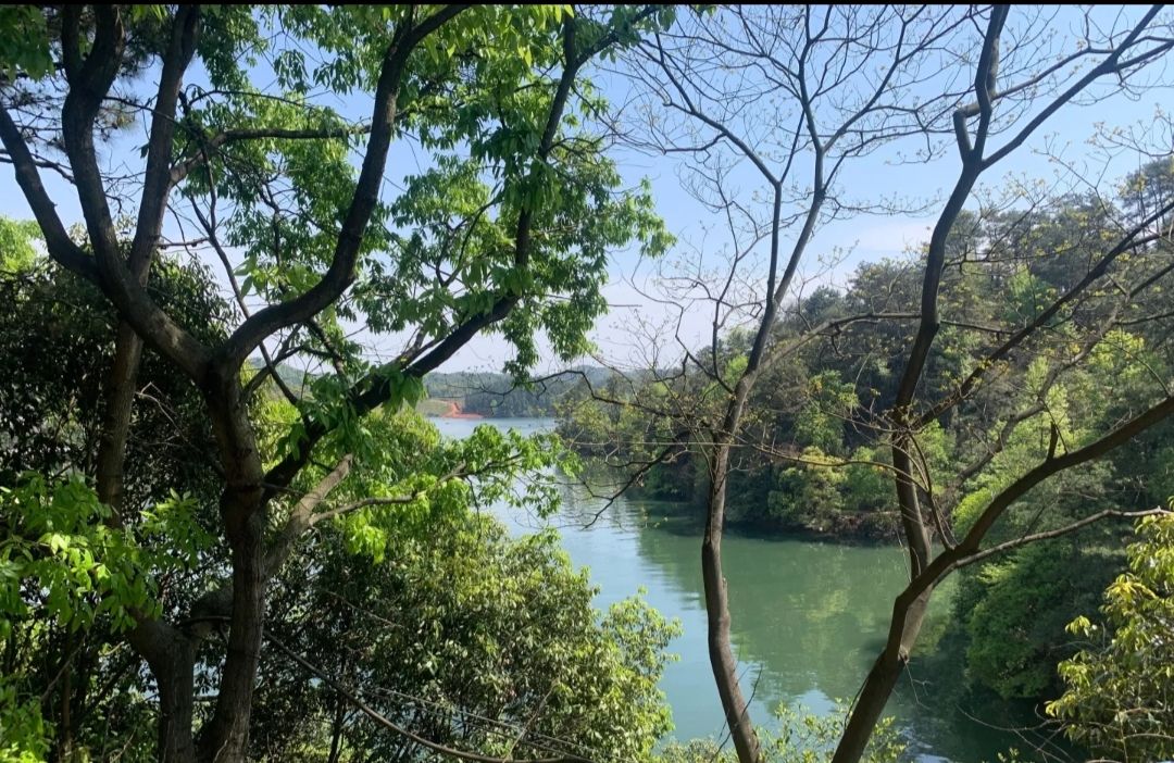 大京风景名胜区旅行图片 2