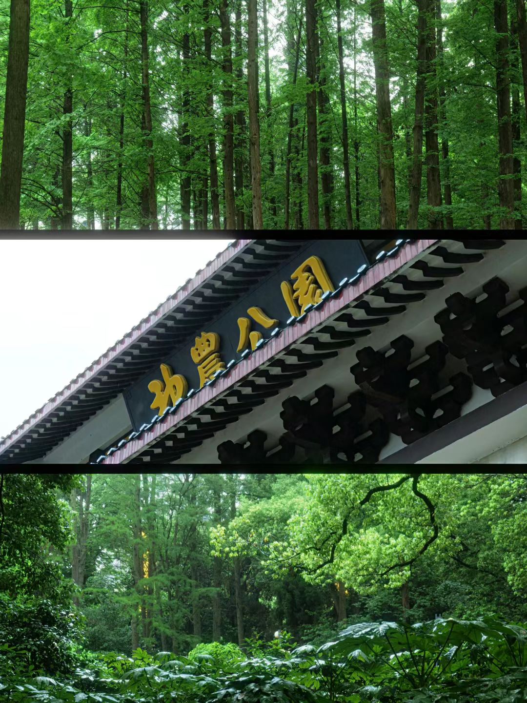 神农公园旅行图片 2