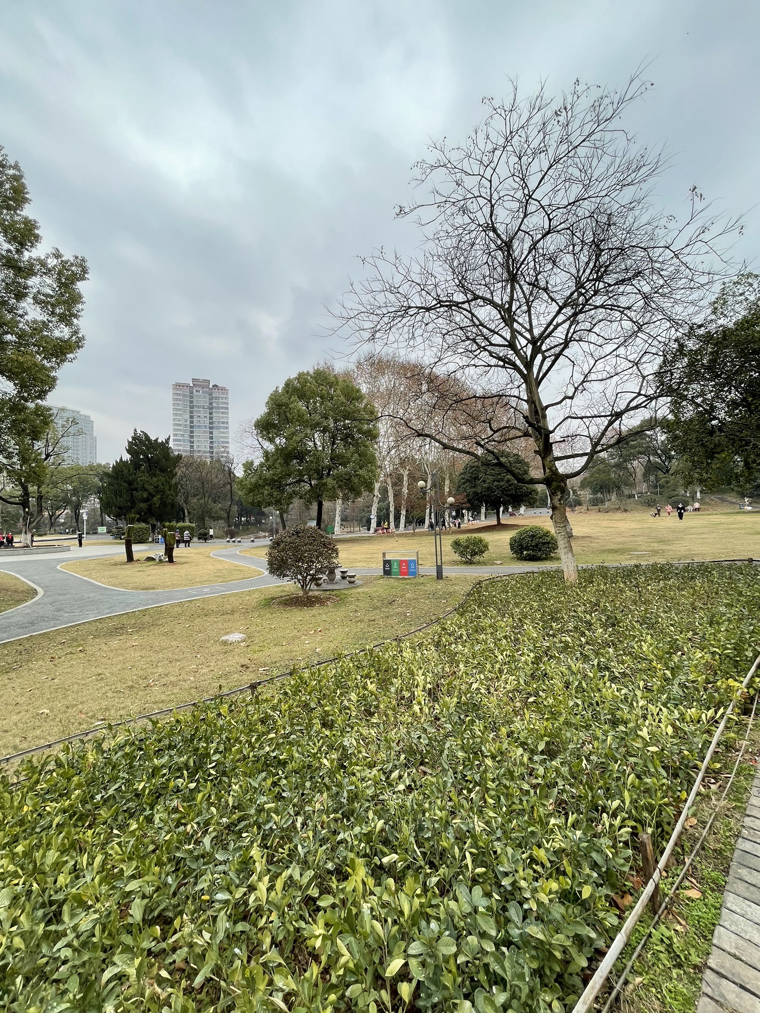 神农公园旅行图片 1