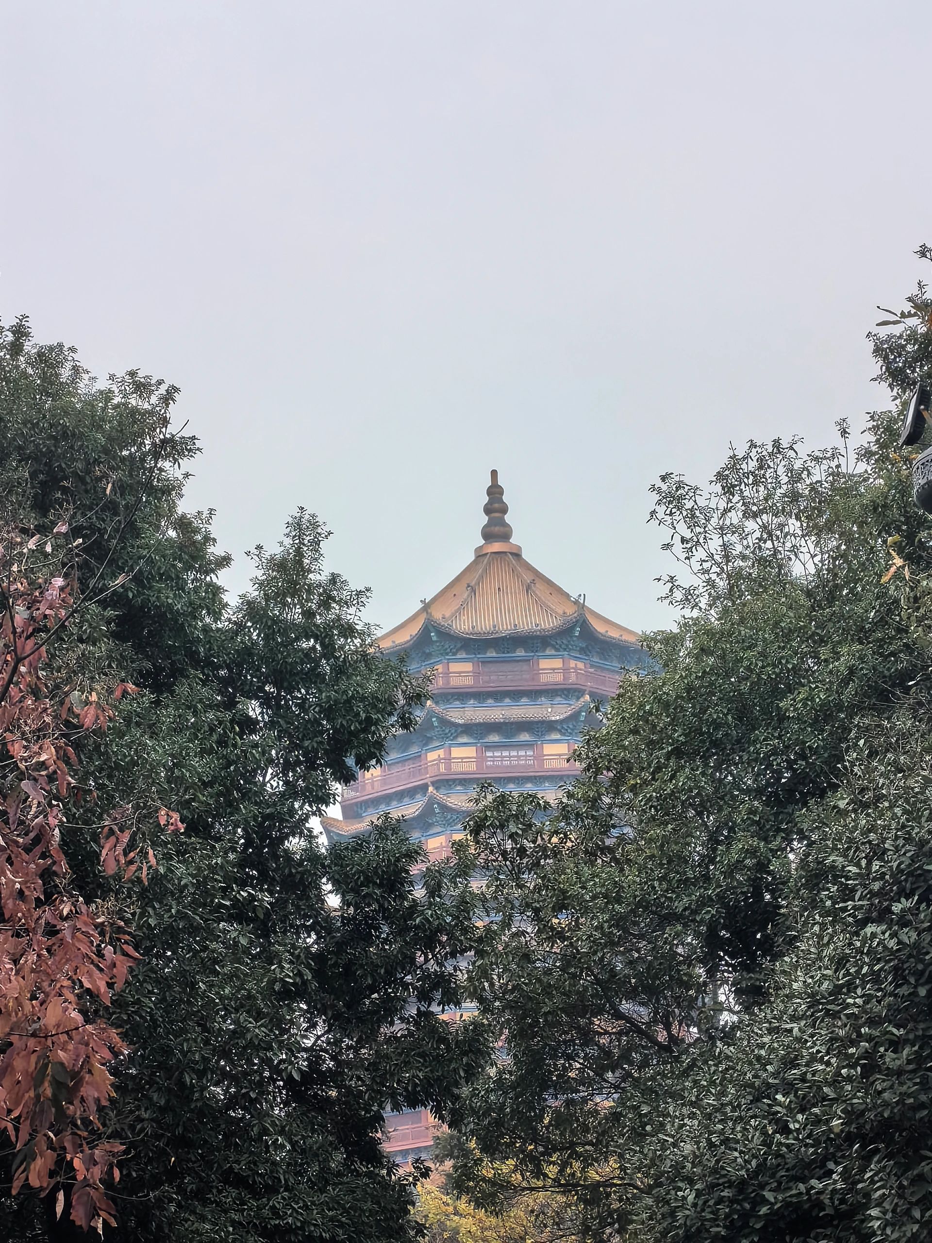 仙山公园旅行图片 3