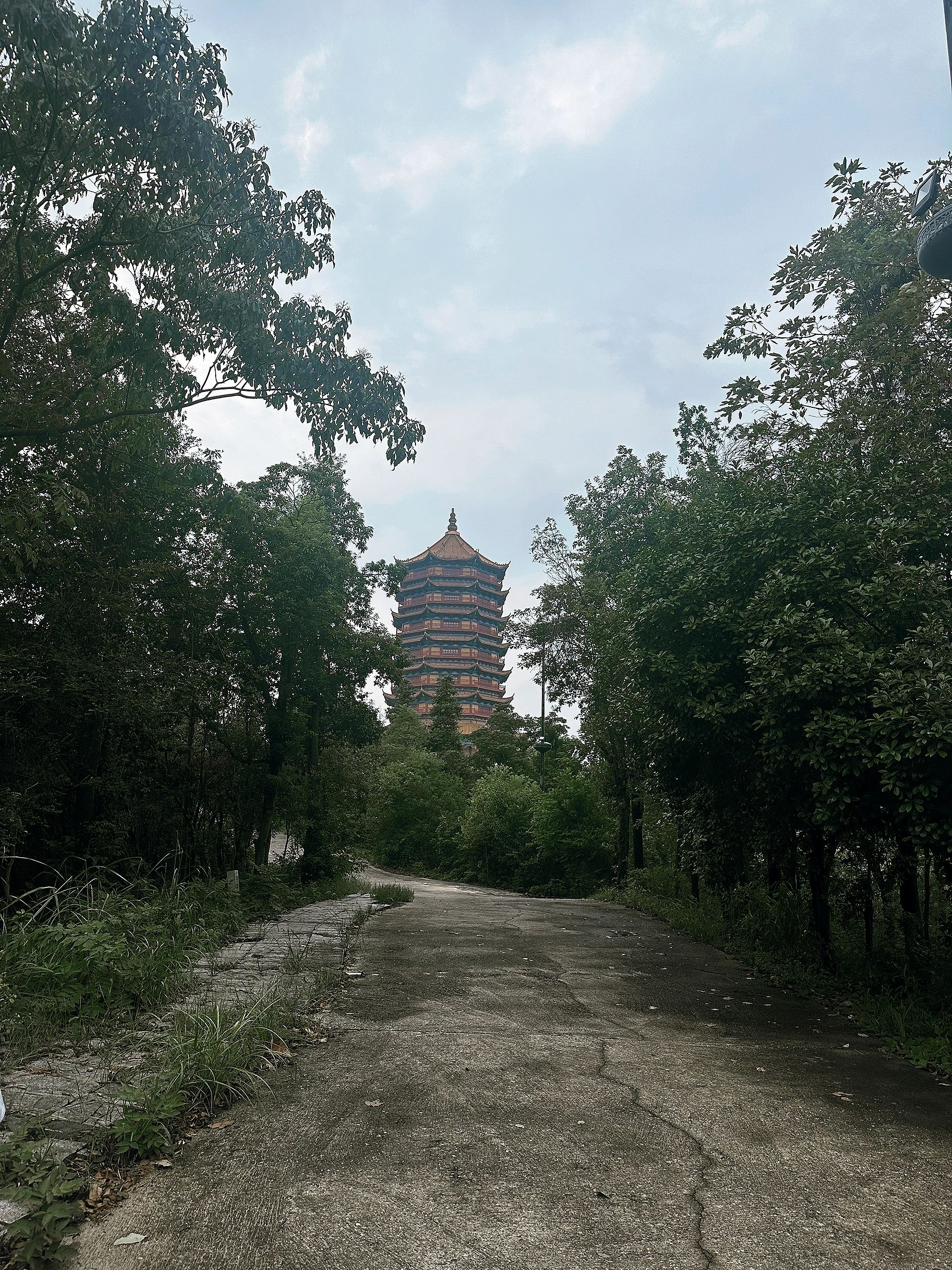 仙山公园旅行图片 1
