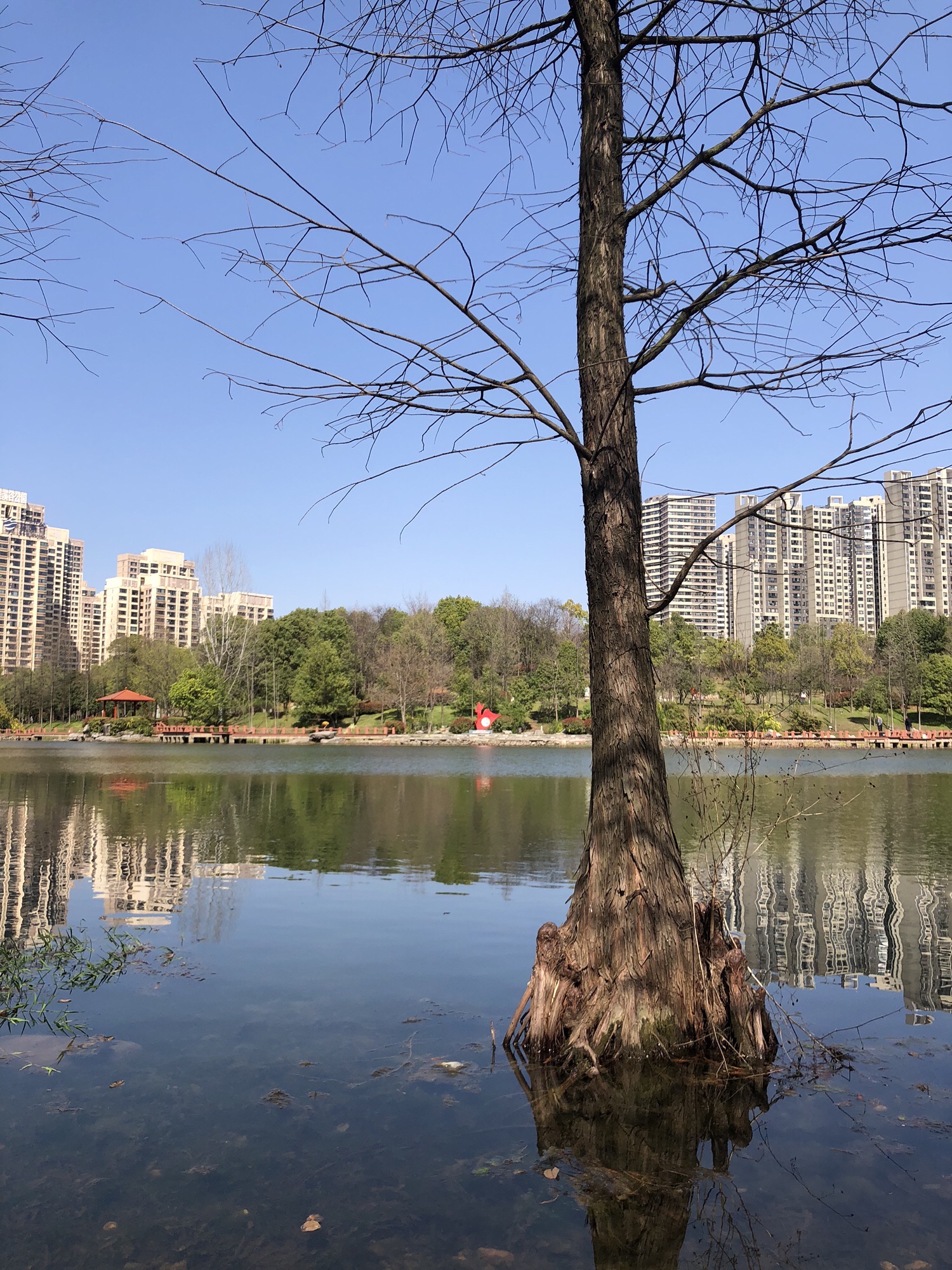 栗雨休闲谷旅行图片 2