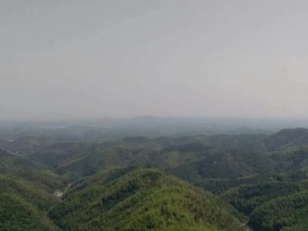 金轮古寺旅行图片 1