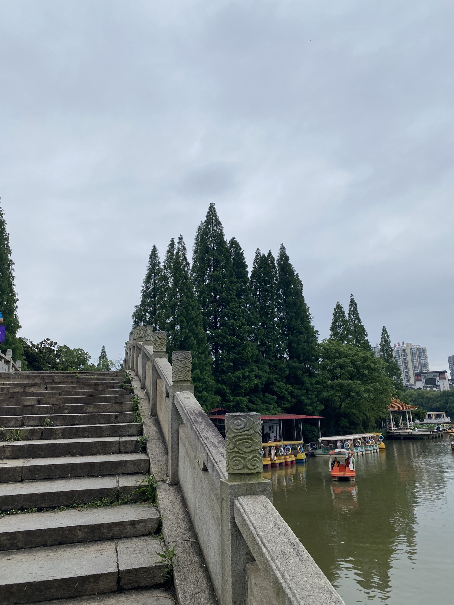 西湖公园旅行图片 2