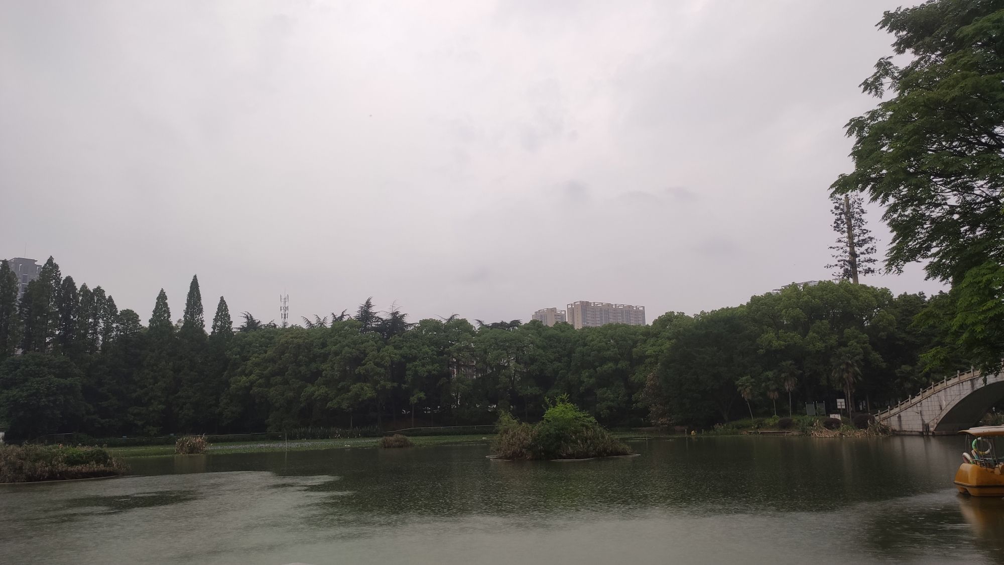西湖公园旅行图片 1