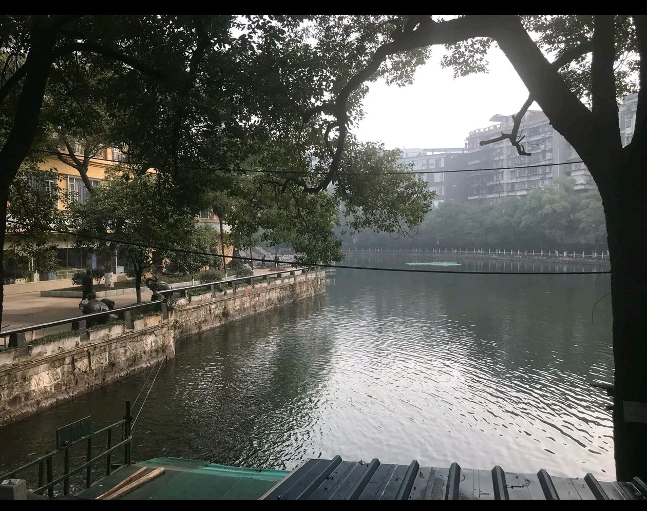 岳屏广场旅行图片 3