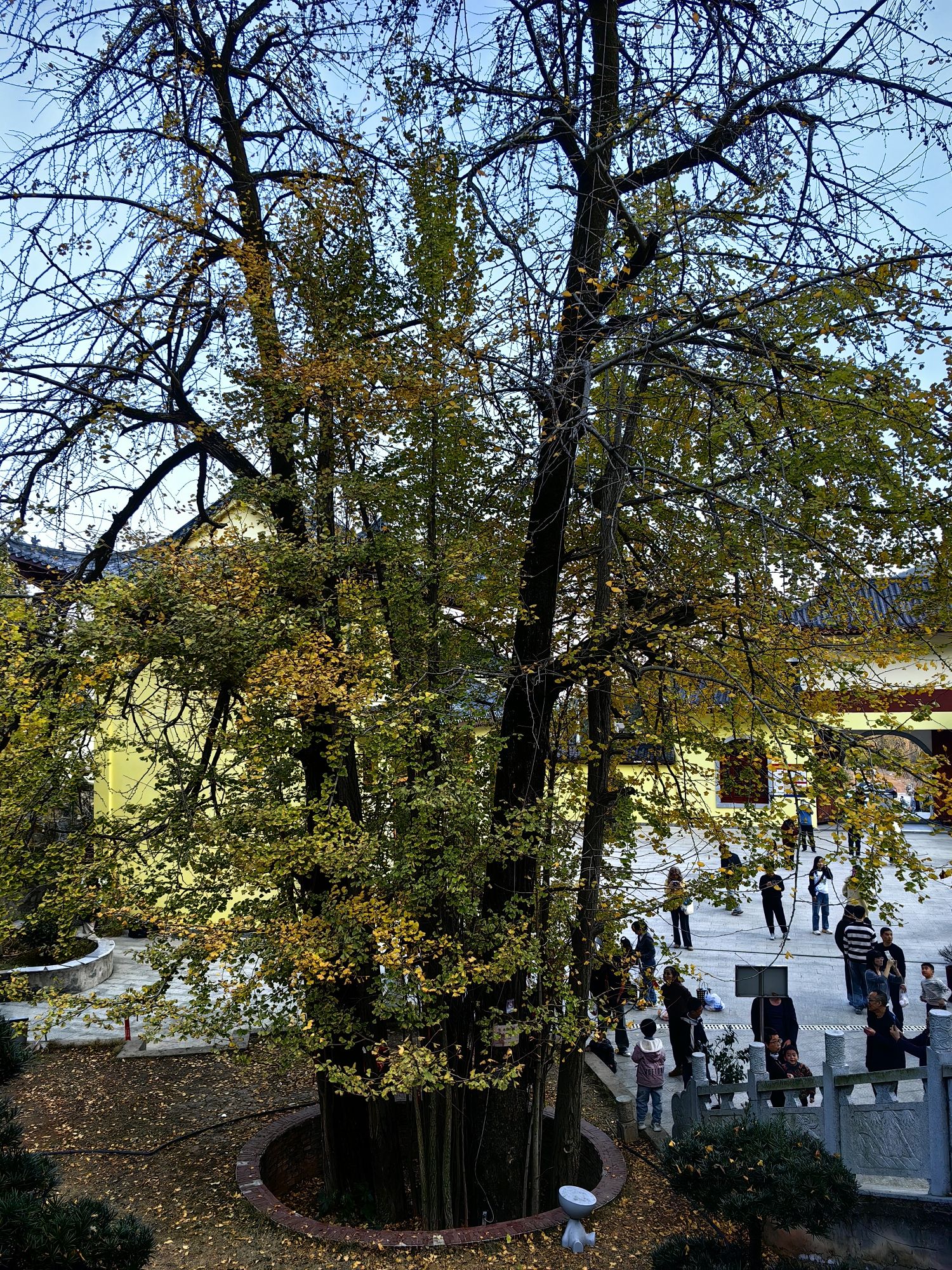 衡山国家重点风景名胜区-大佛寺实景照片