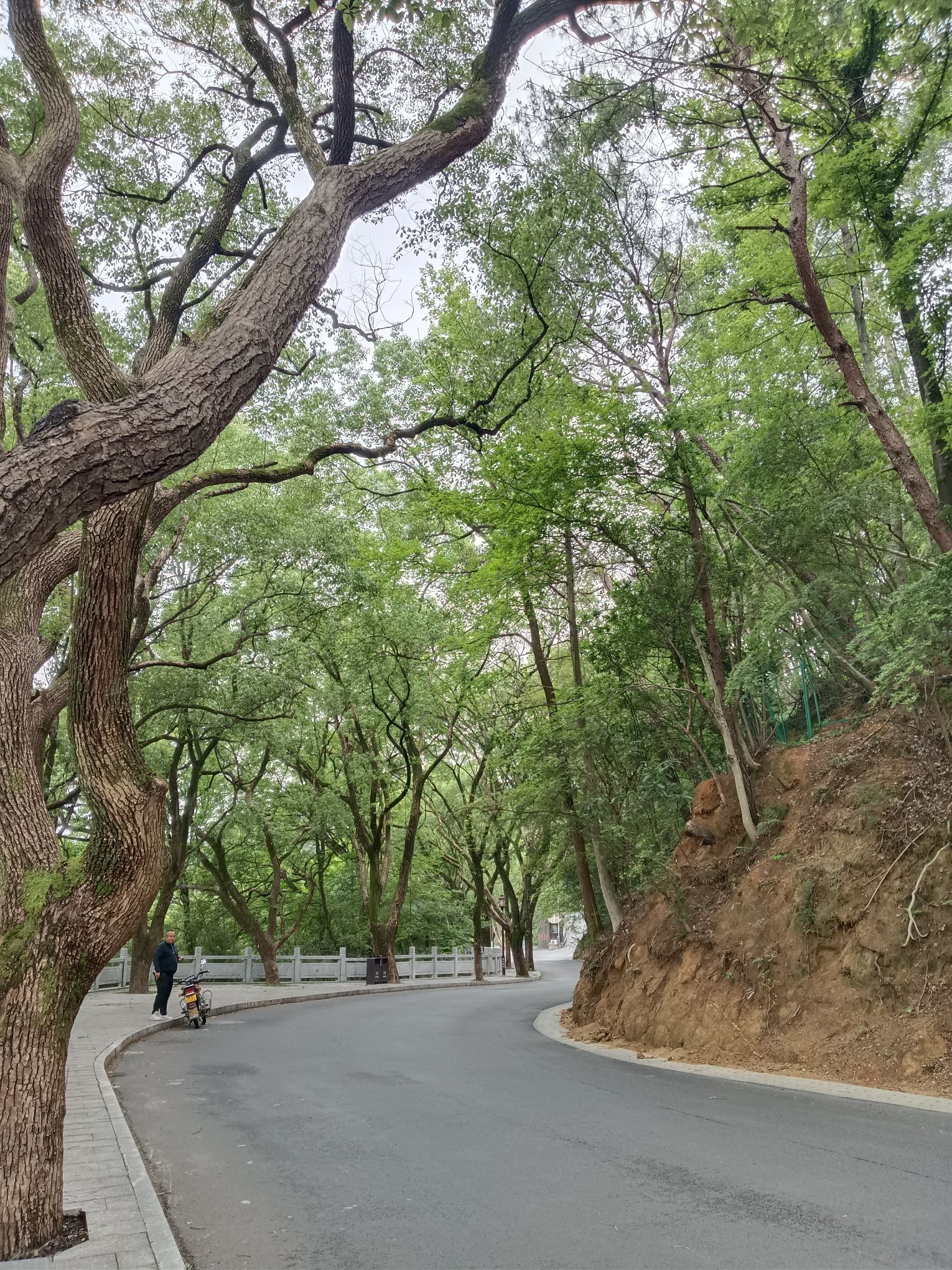 南岳衡山风景名胜区旅行图片 2