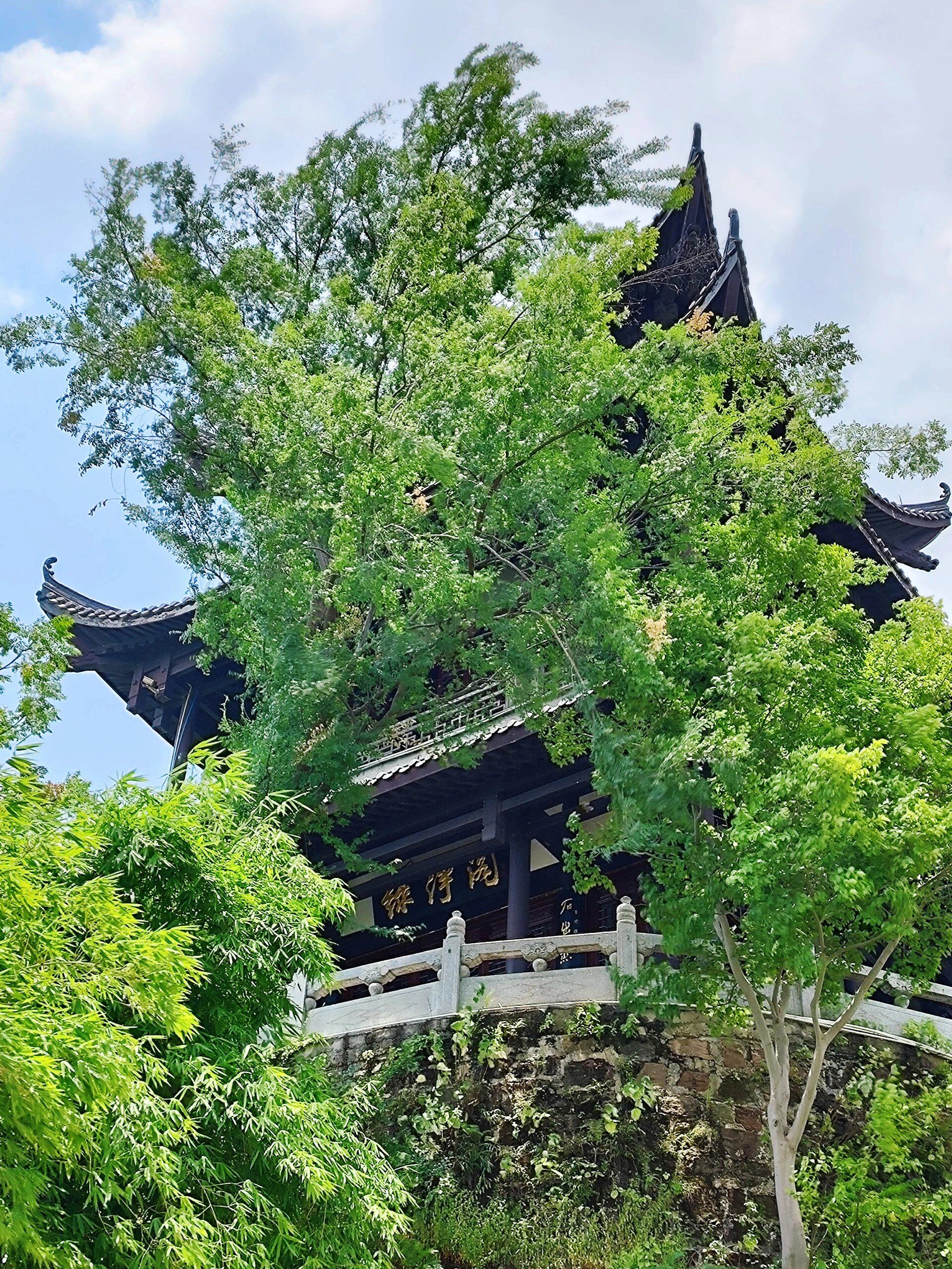 石鼓书院旅行图片 2