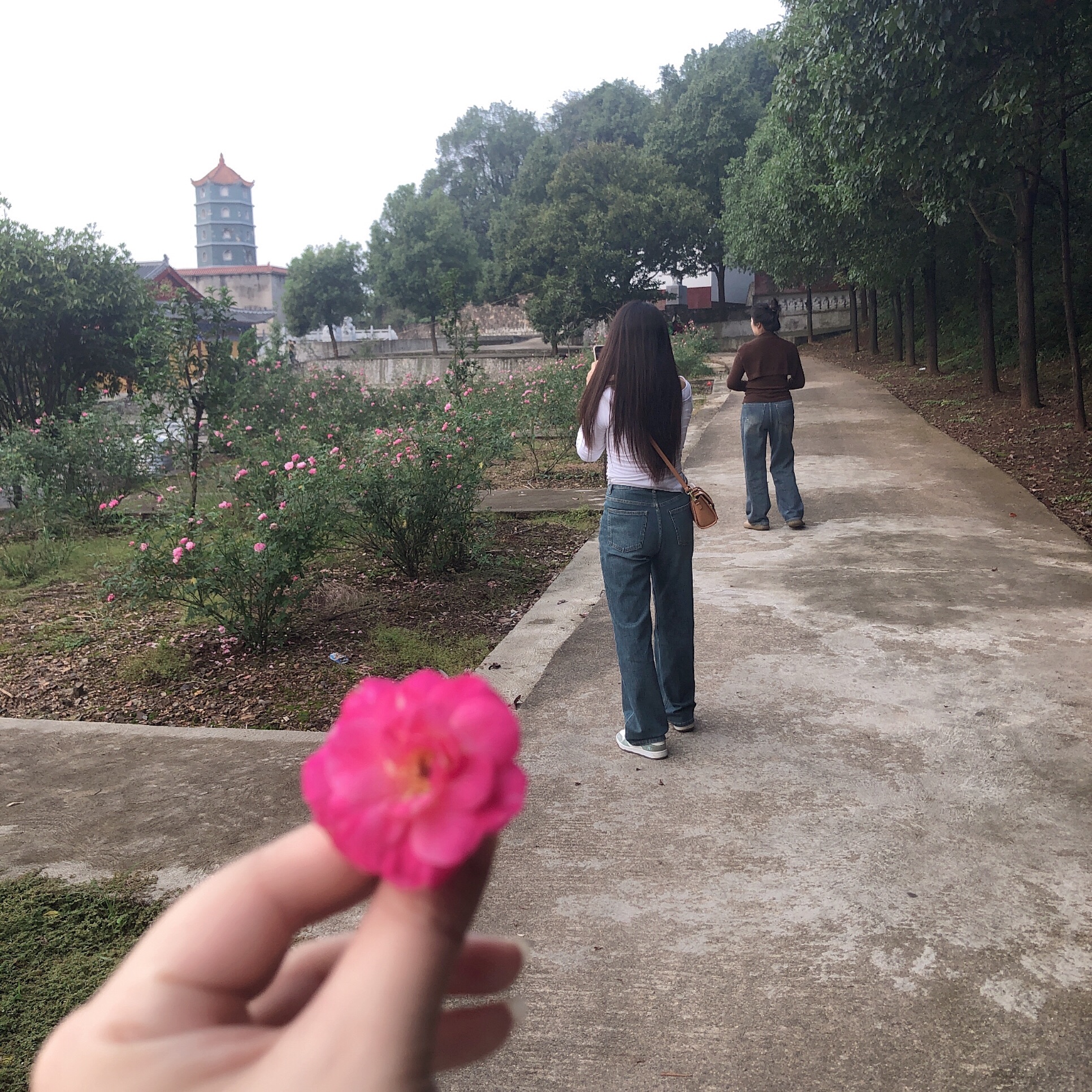 鹿岐峰森林公园旅行图片 3
