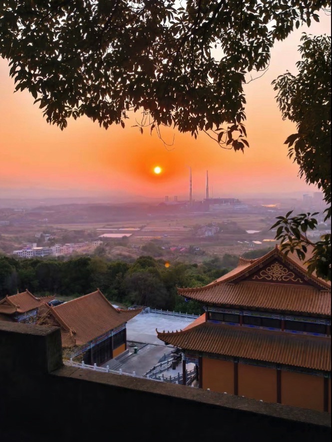 鹿岐峰森林公园旅行图片 2