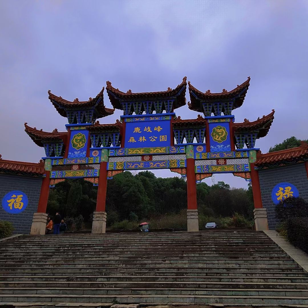 鹿岐峰森林公园旅行图片 1