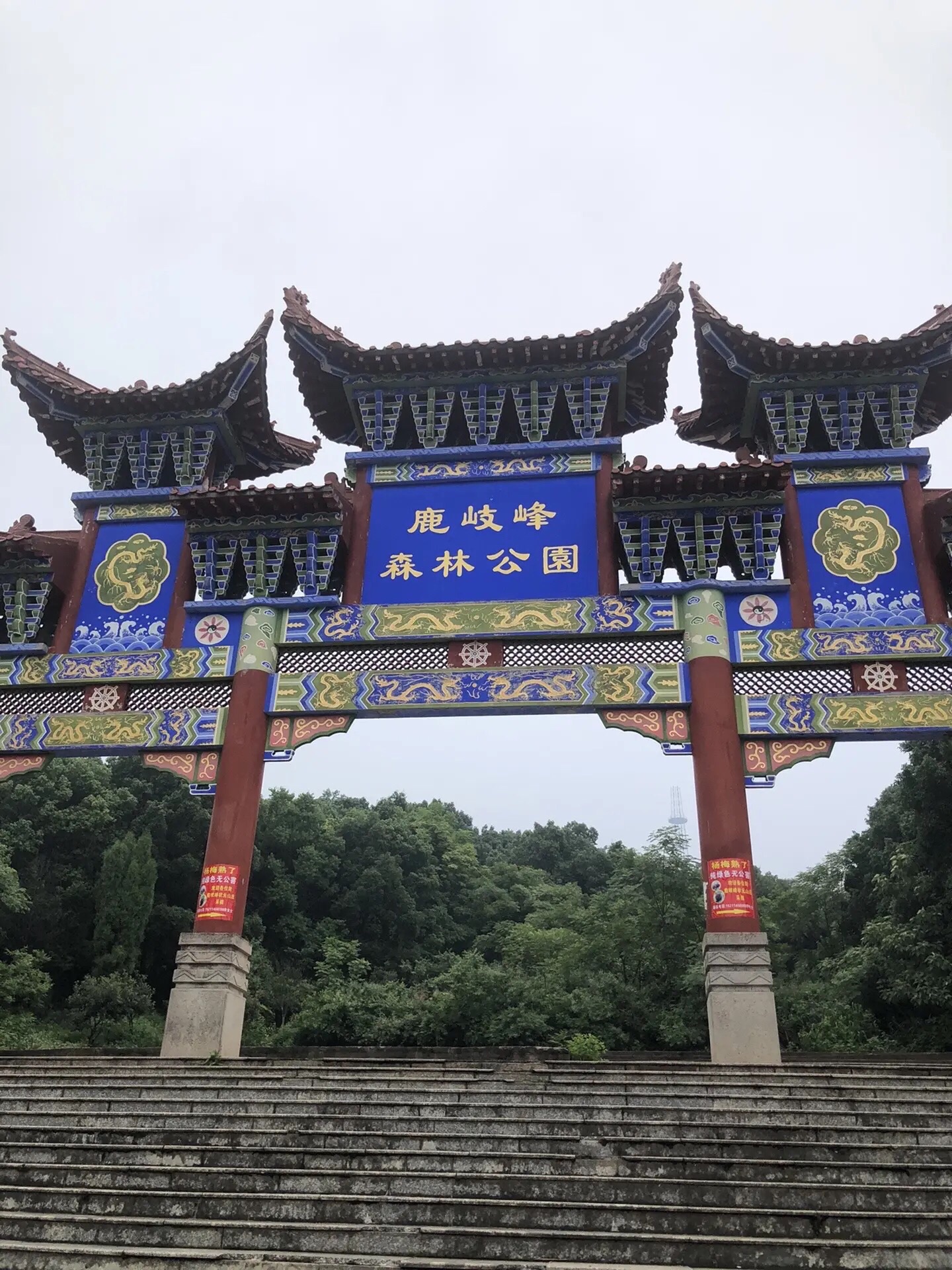 鹿岐峰森林公园旅行图片