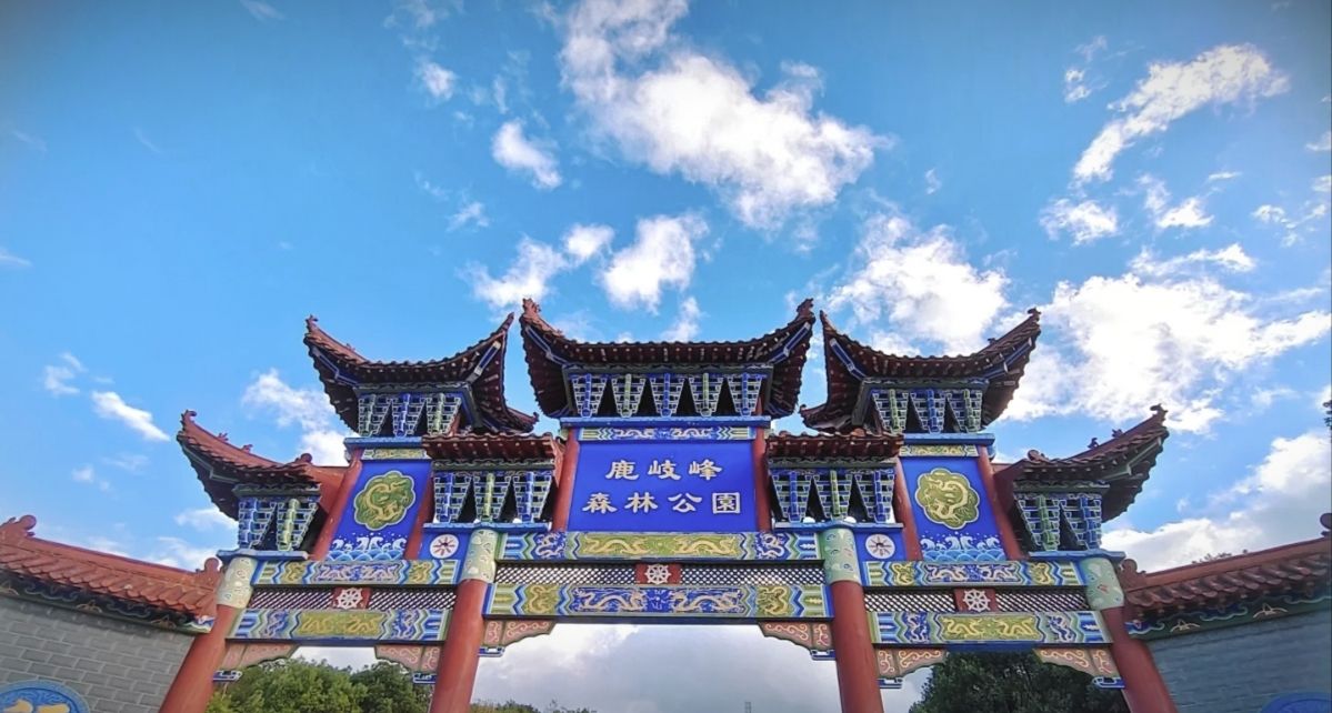 鹿岐峰森林公园