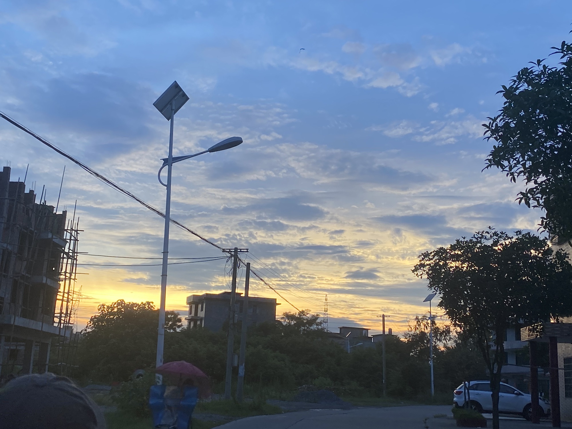 鹿岐峰森林公园旅行图片 1
