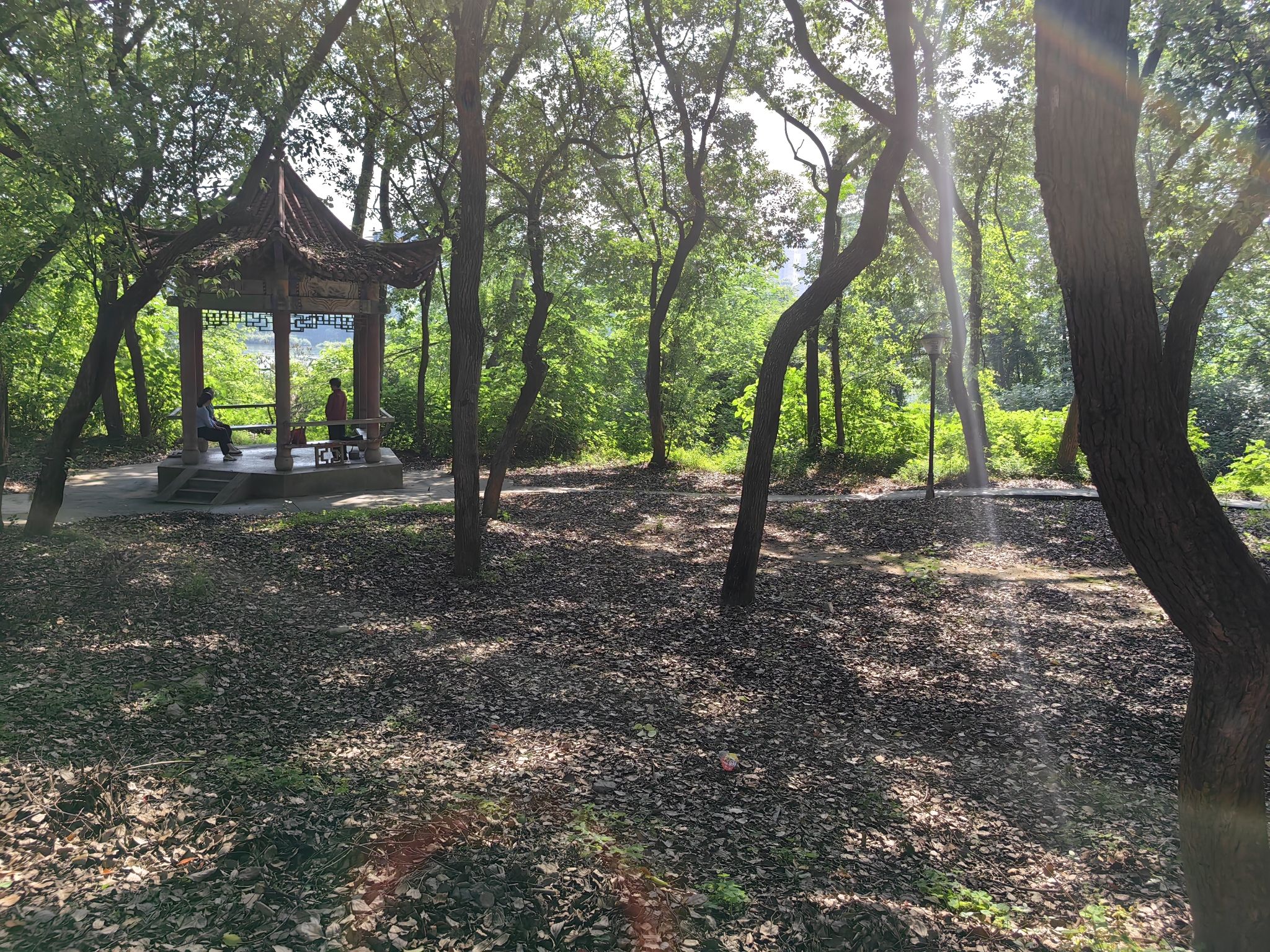 杜甫公园