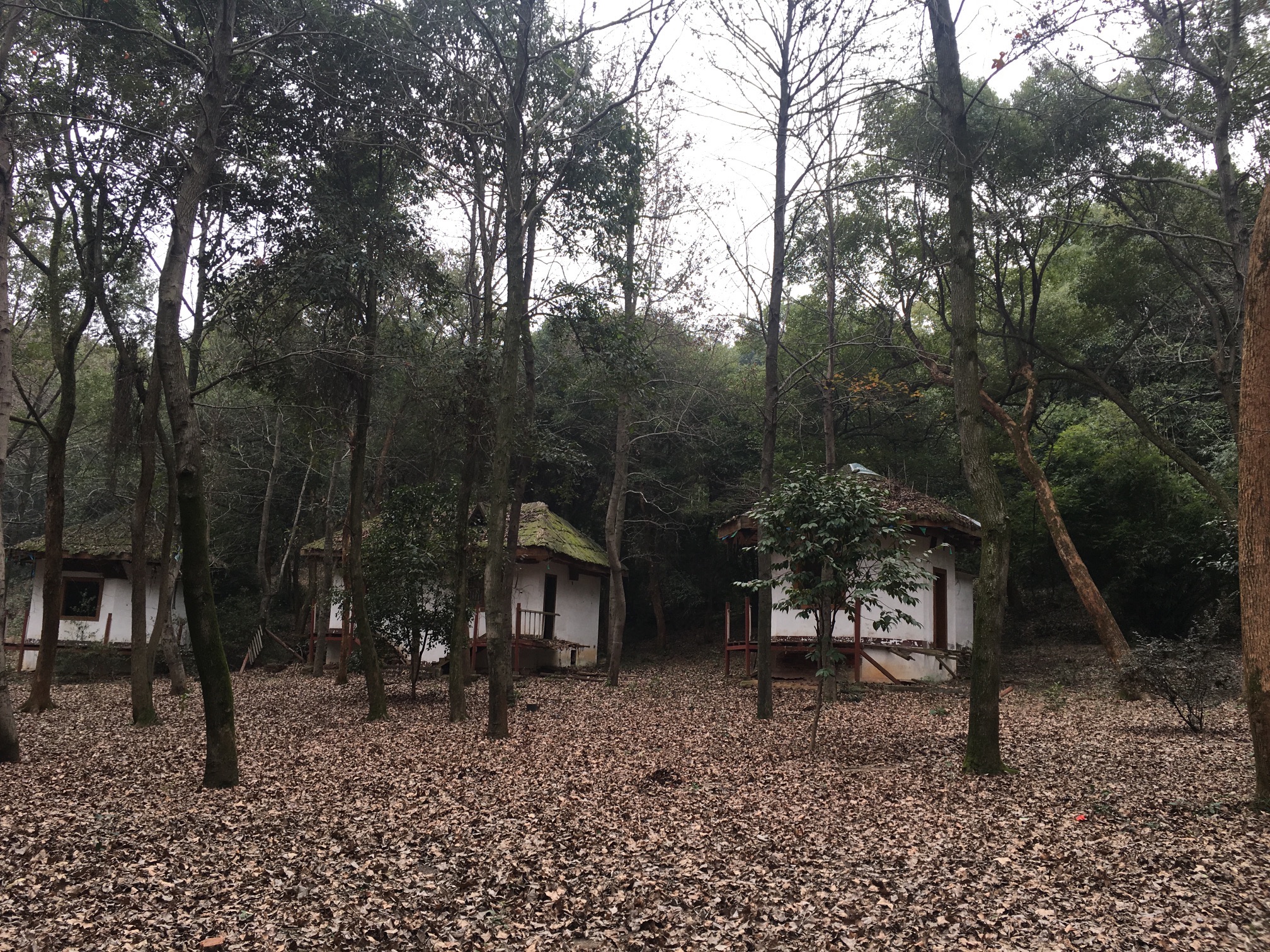 南郊公园旅行图片 2