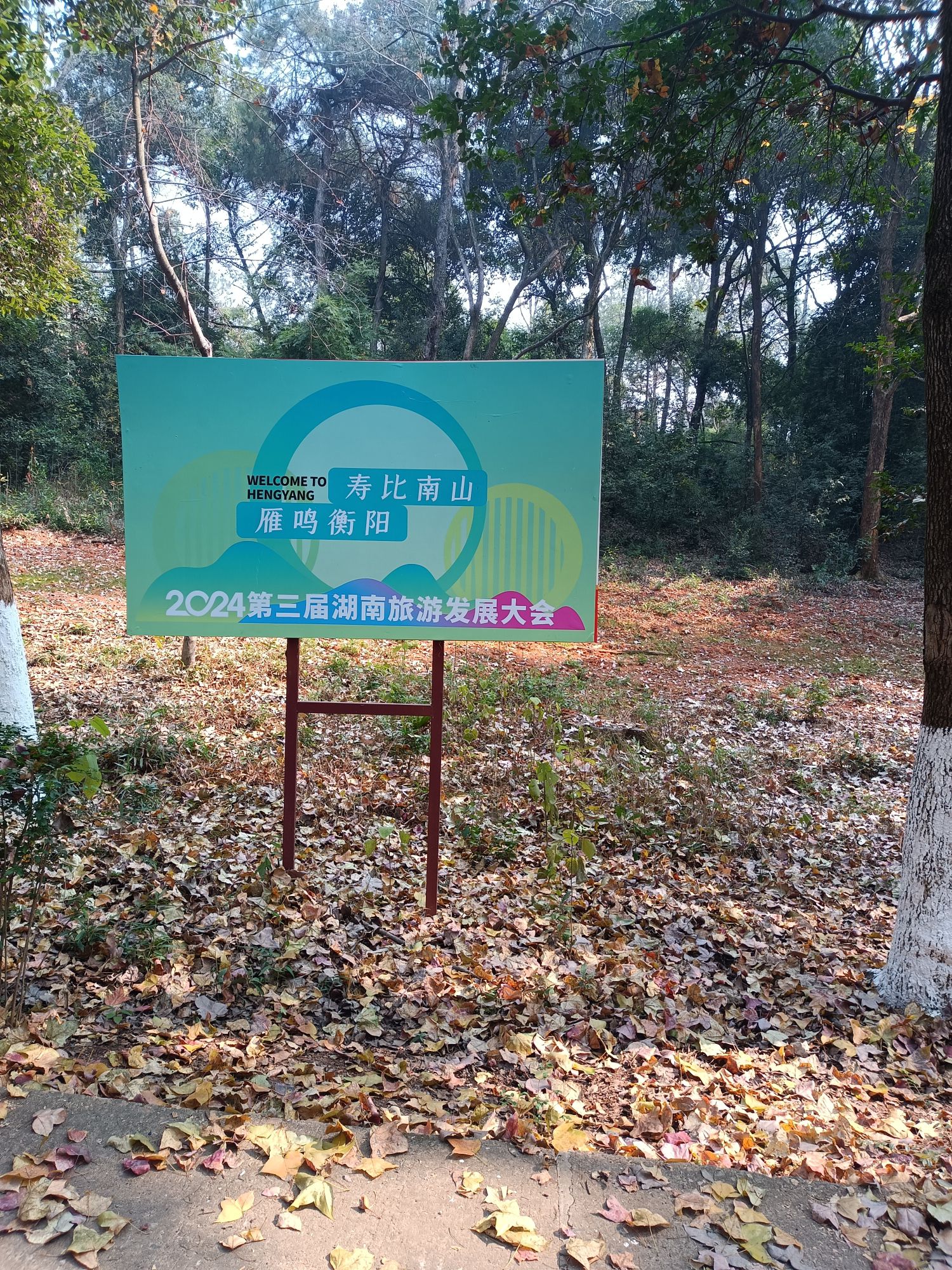 南郊公园旅行图片 1