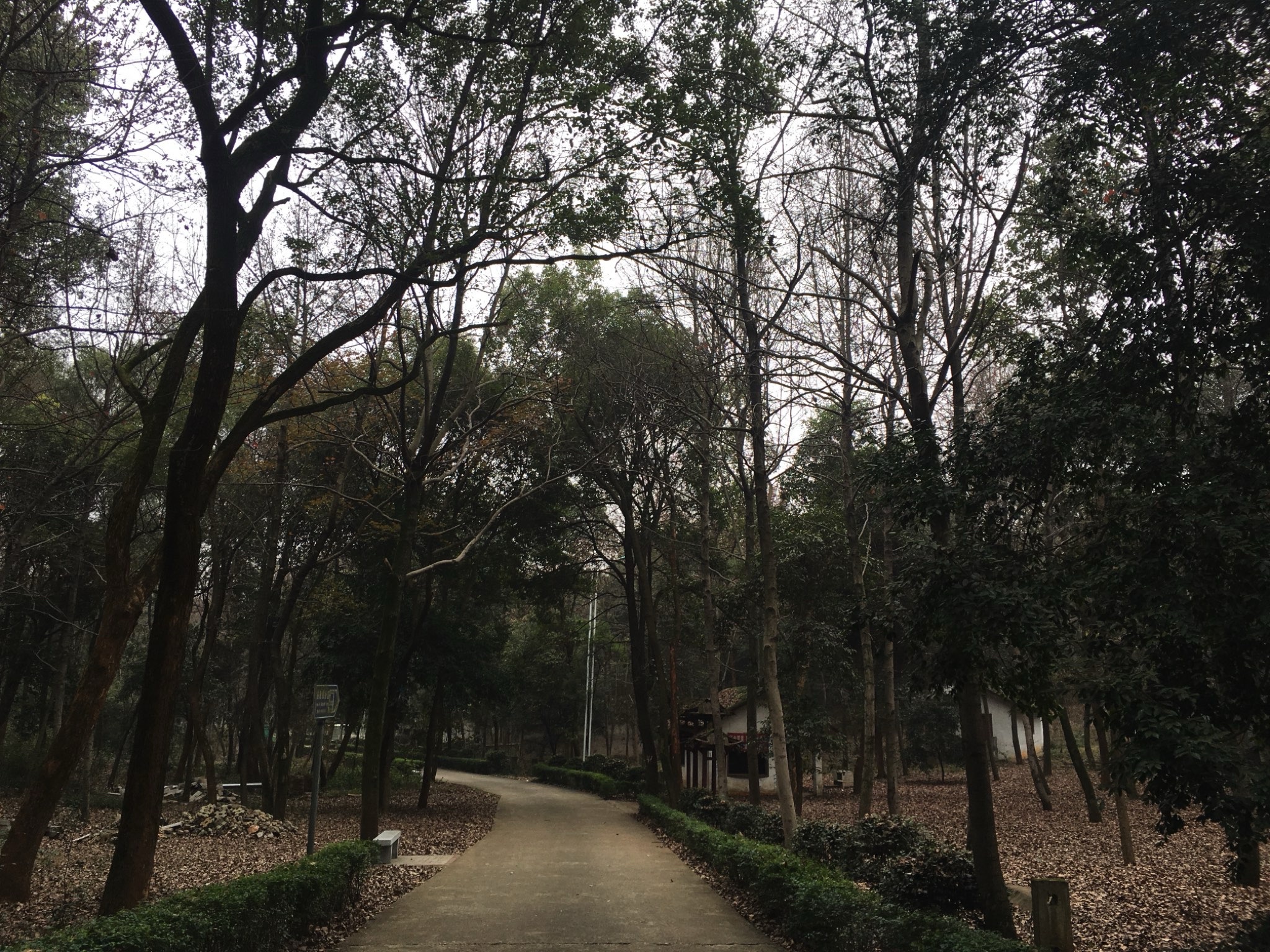 南郊公园旅行图片 1